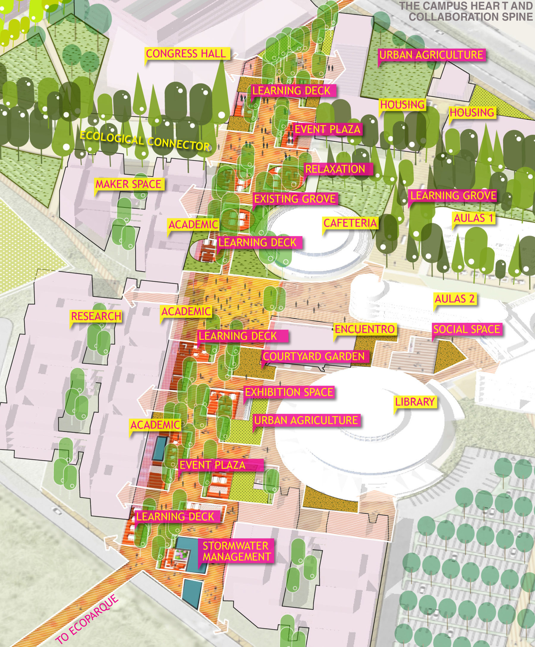 diagram of campus heart