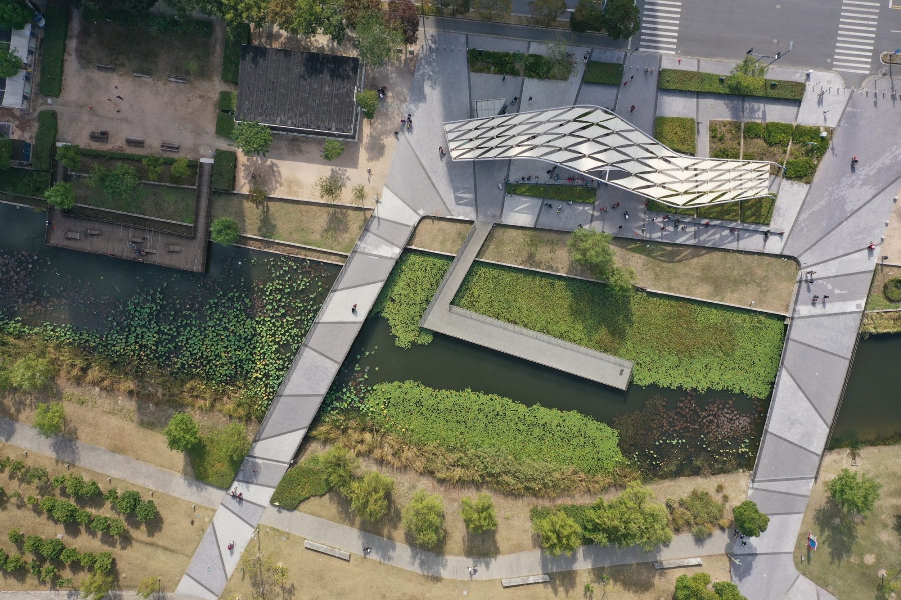 aerial photograph looking straight down on park overtop canopy and walking paths