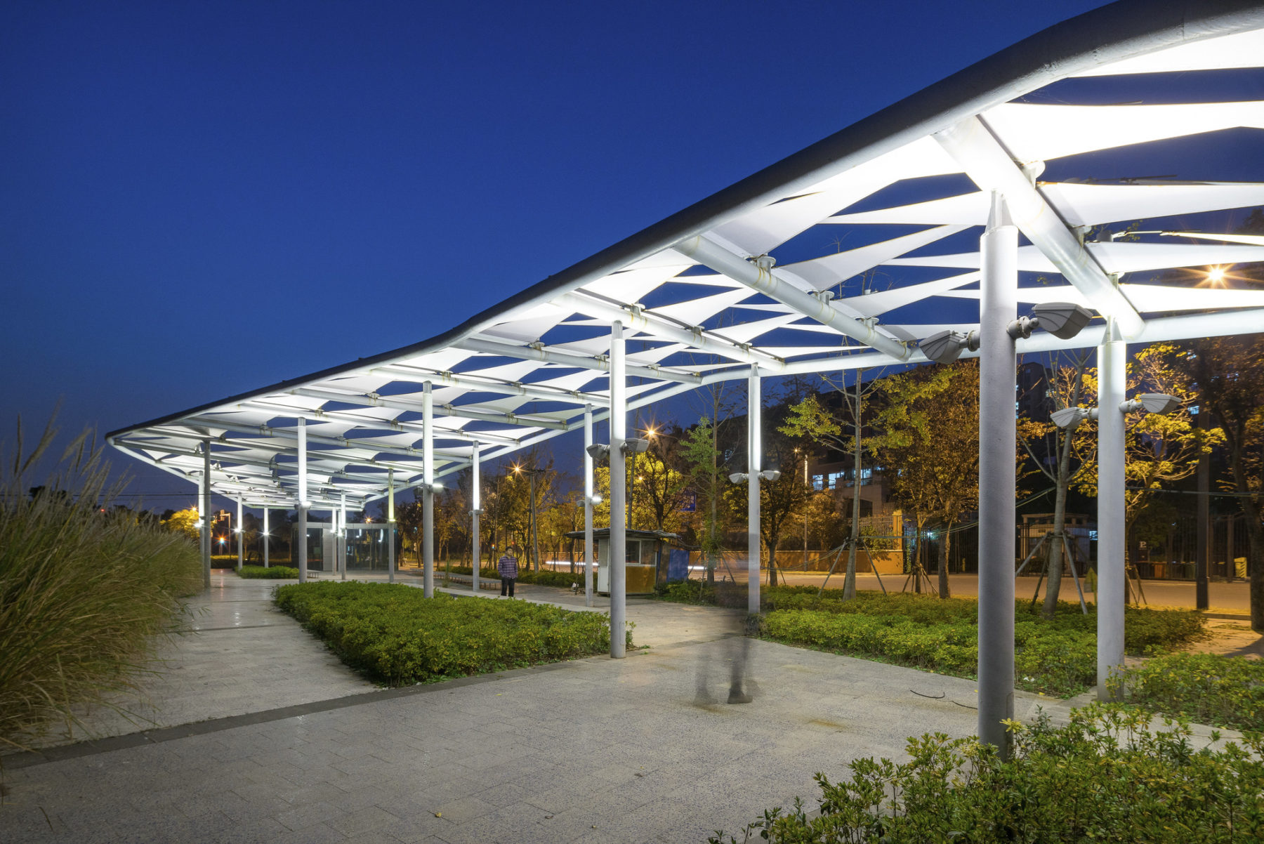 photograph of canopy in park at night