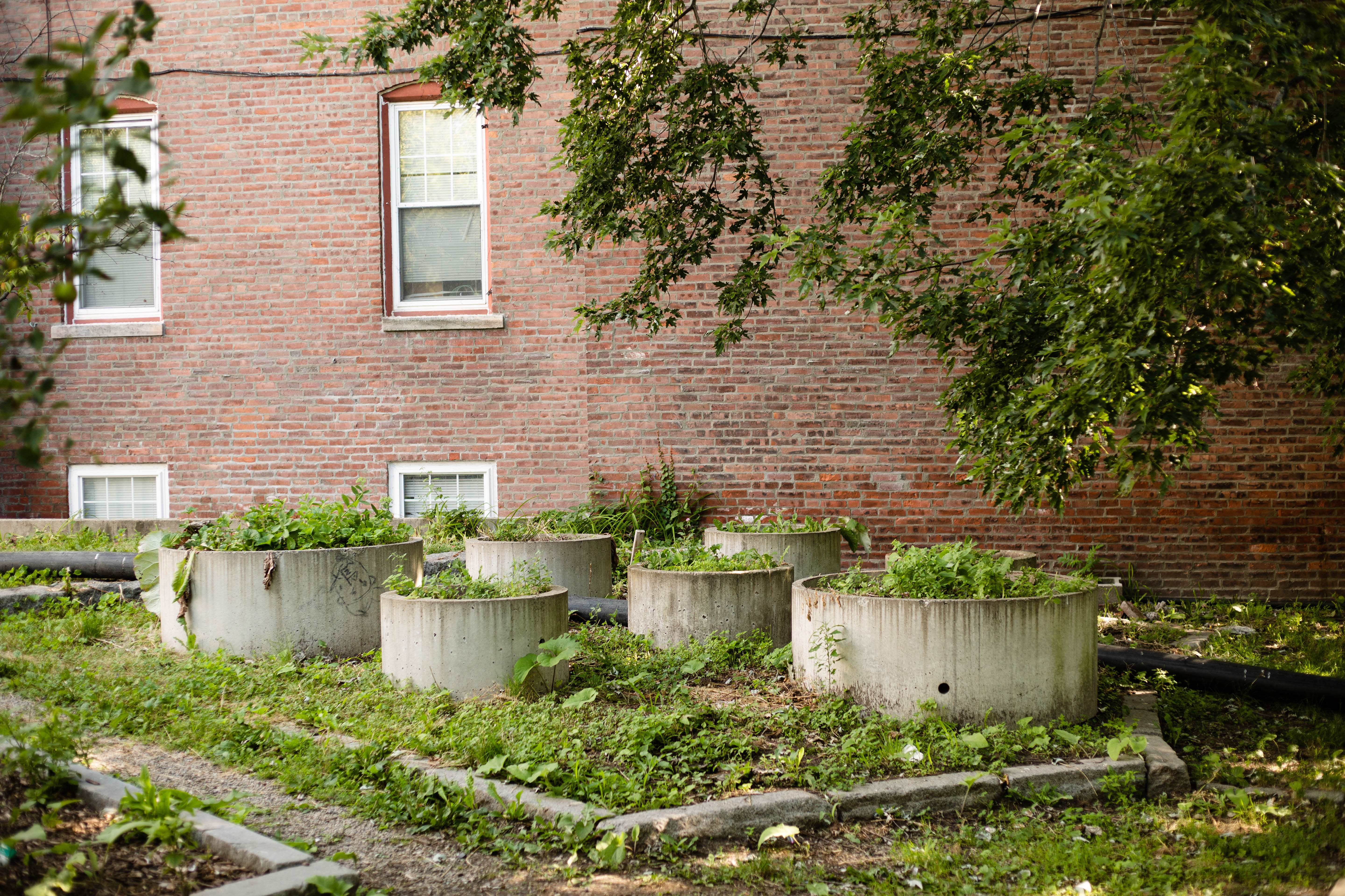 Planters in an urban garden