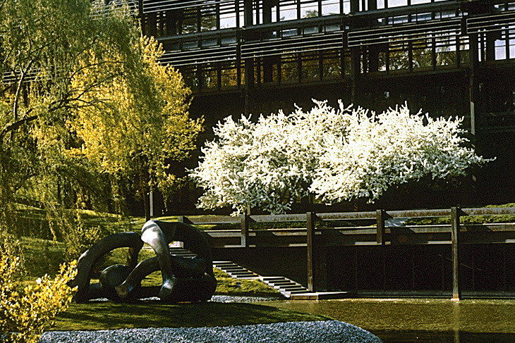 Photo of sculpture and trees in front of the headquarters building