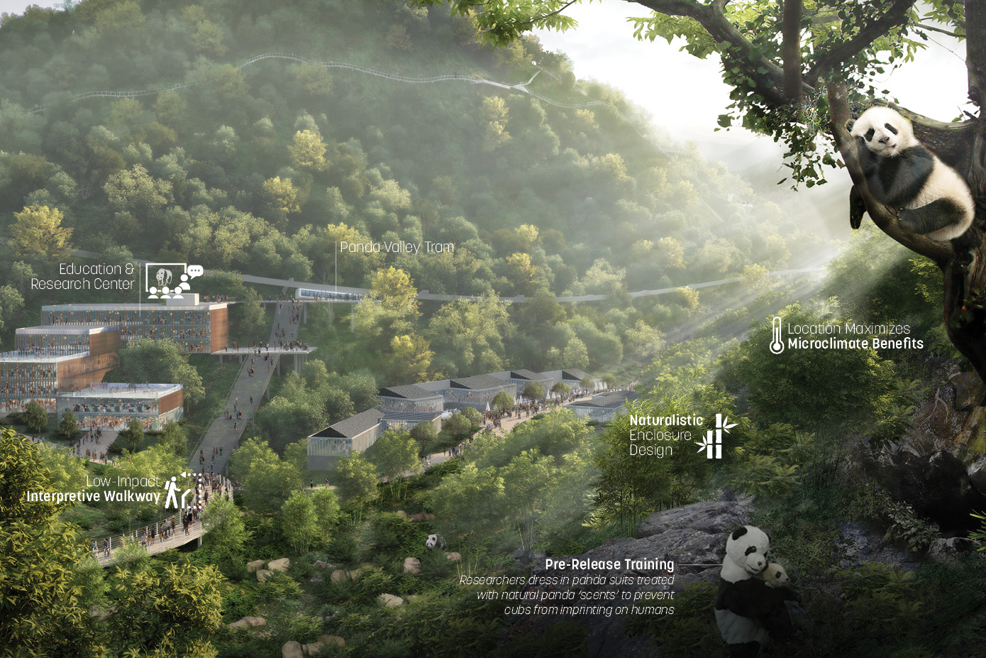 rendering of panda habitat