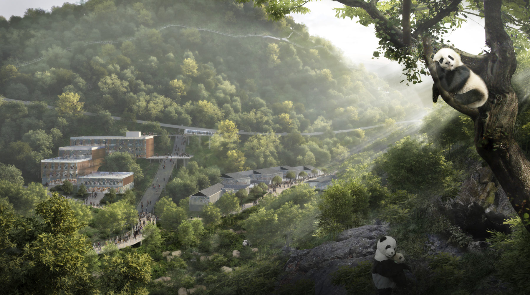 wildlife safari world tour