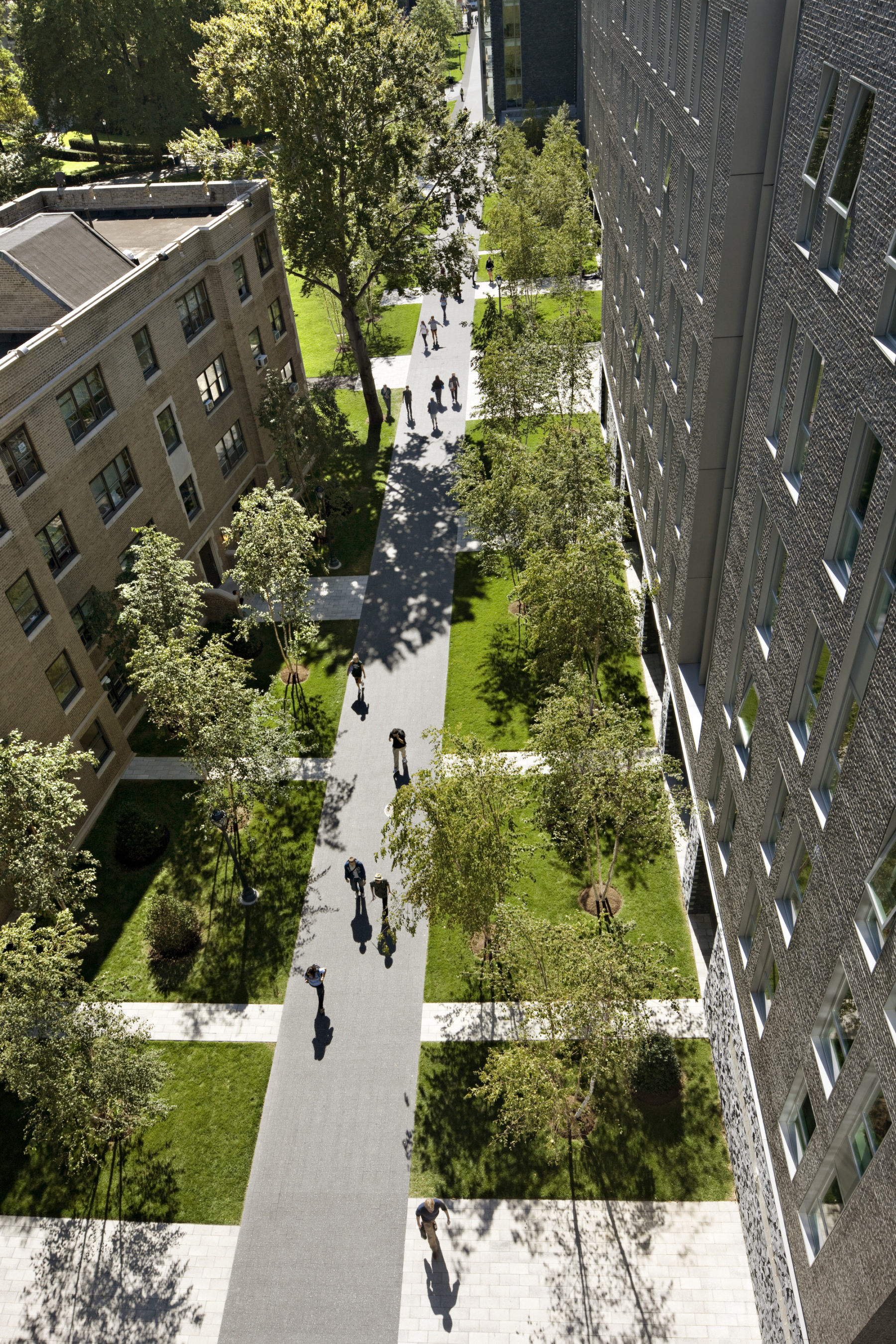 aerial view of path in front of building