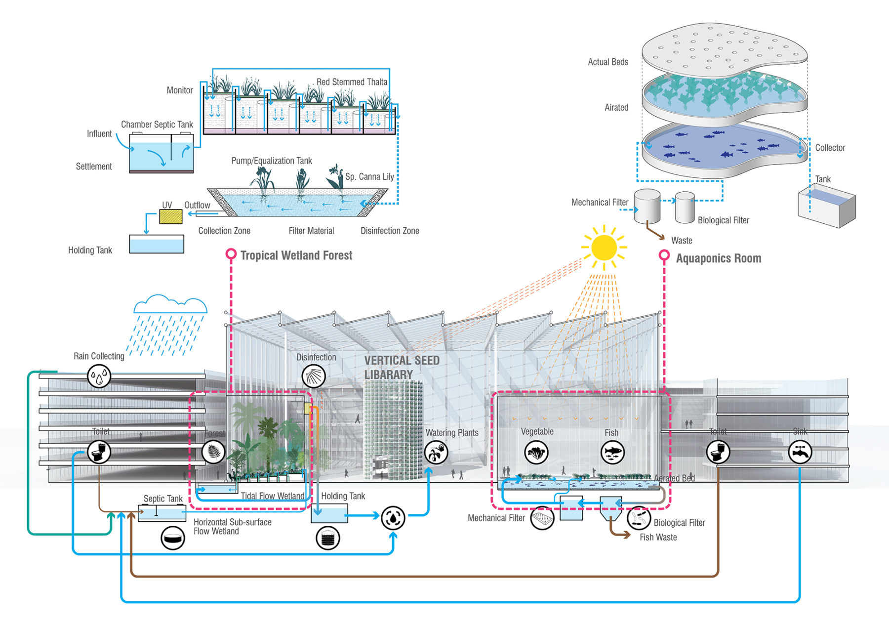 living system diagram