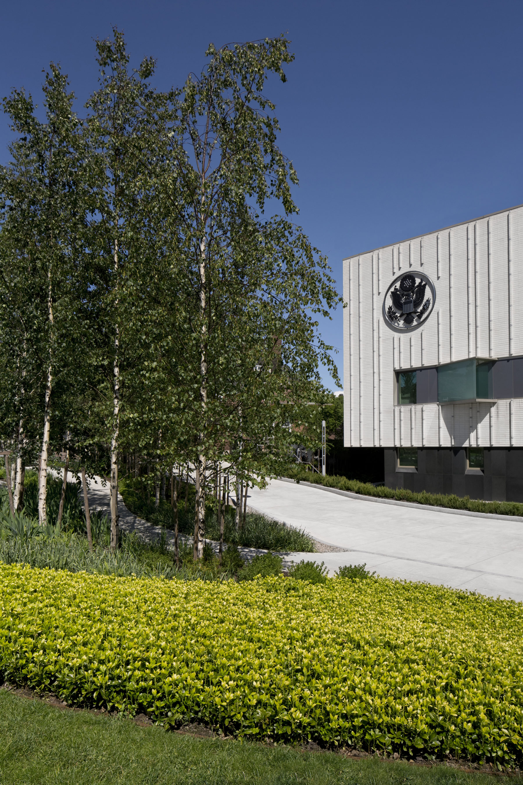 spring photo of embassy exterior, yellow flowers and birch trees in foreground