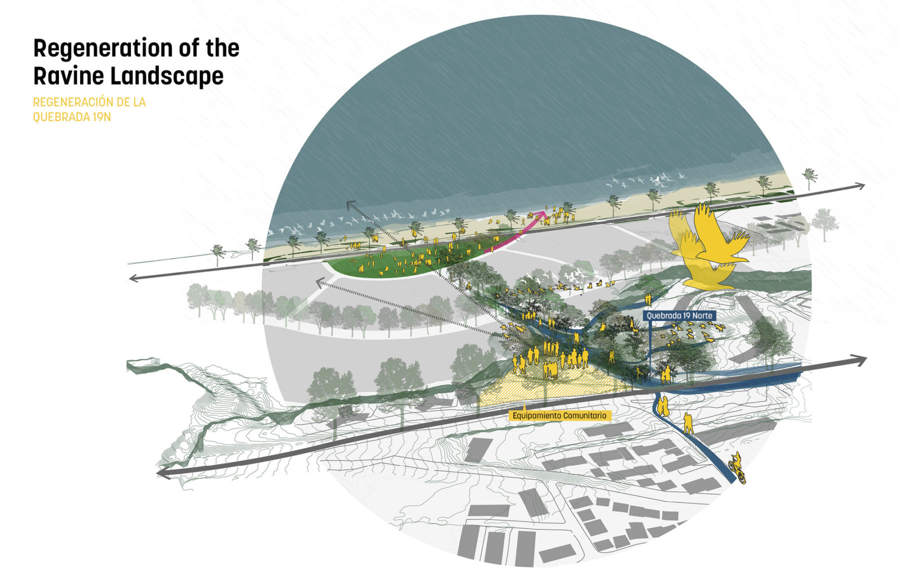 diagram of ravine landscape