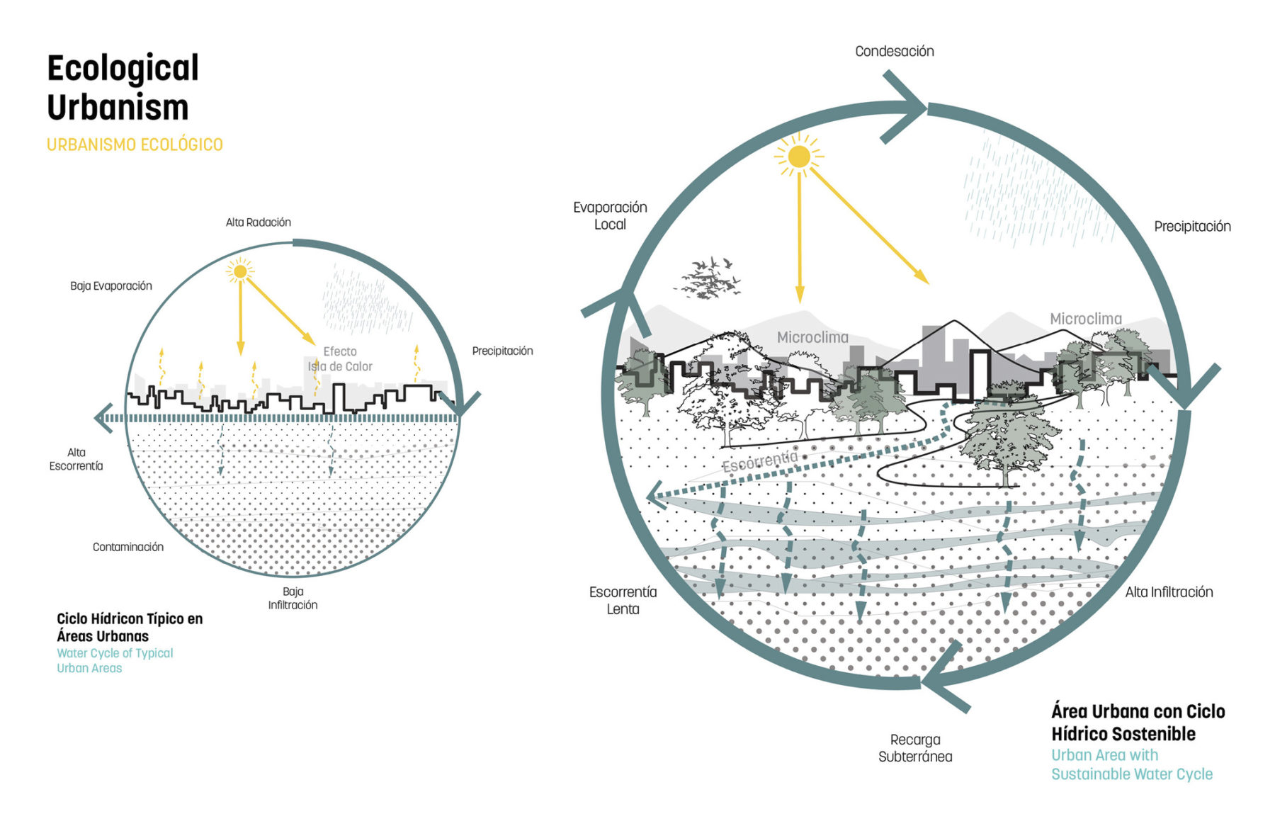 diagram of ecological urbanism
