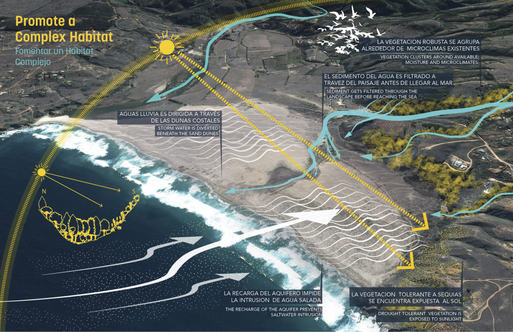 diagram of coastal habitat