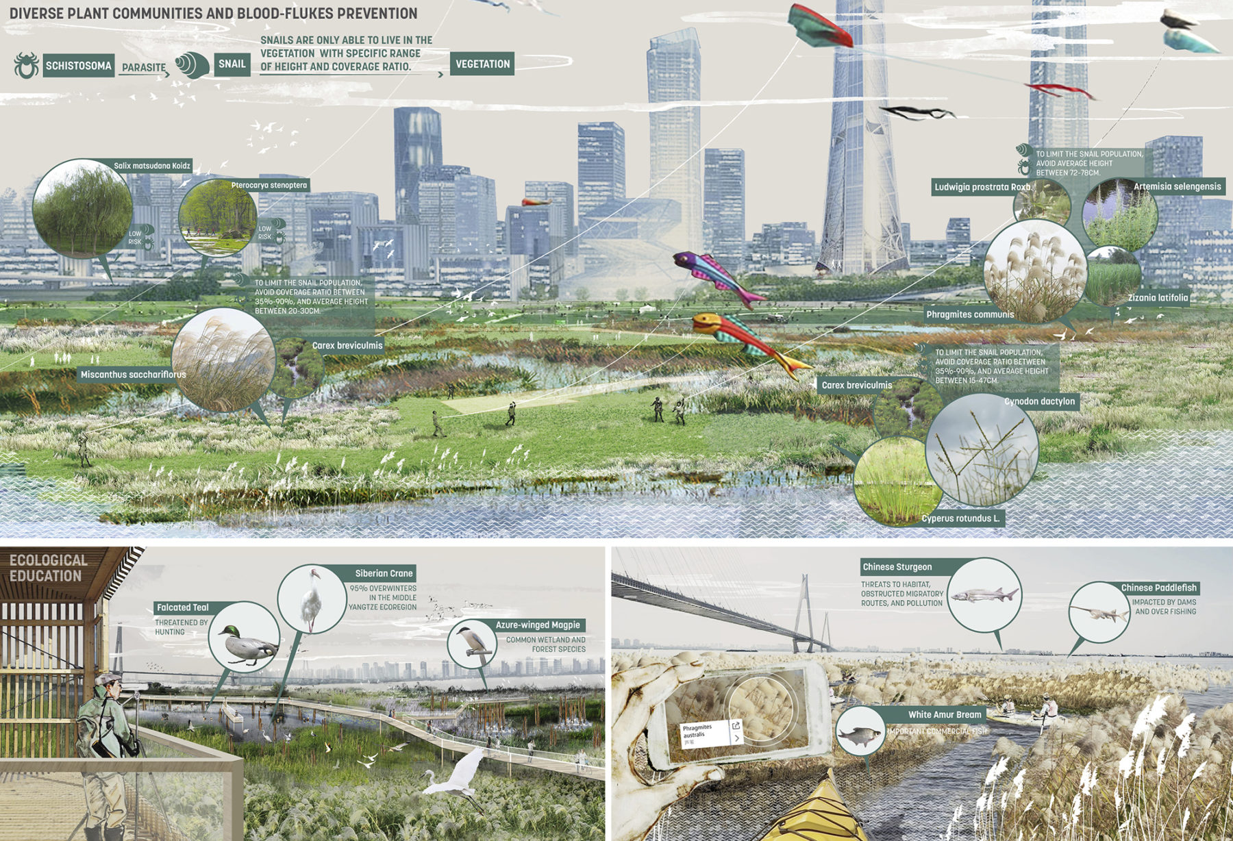 topography diagrams