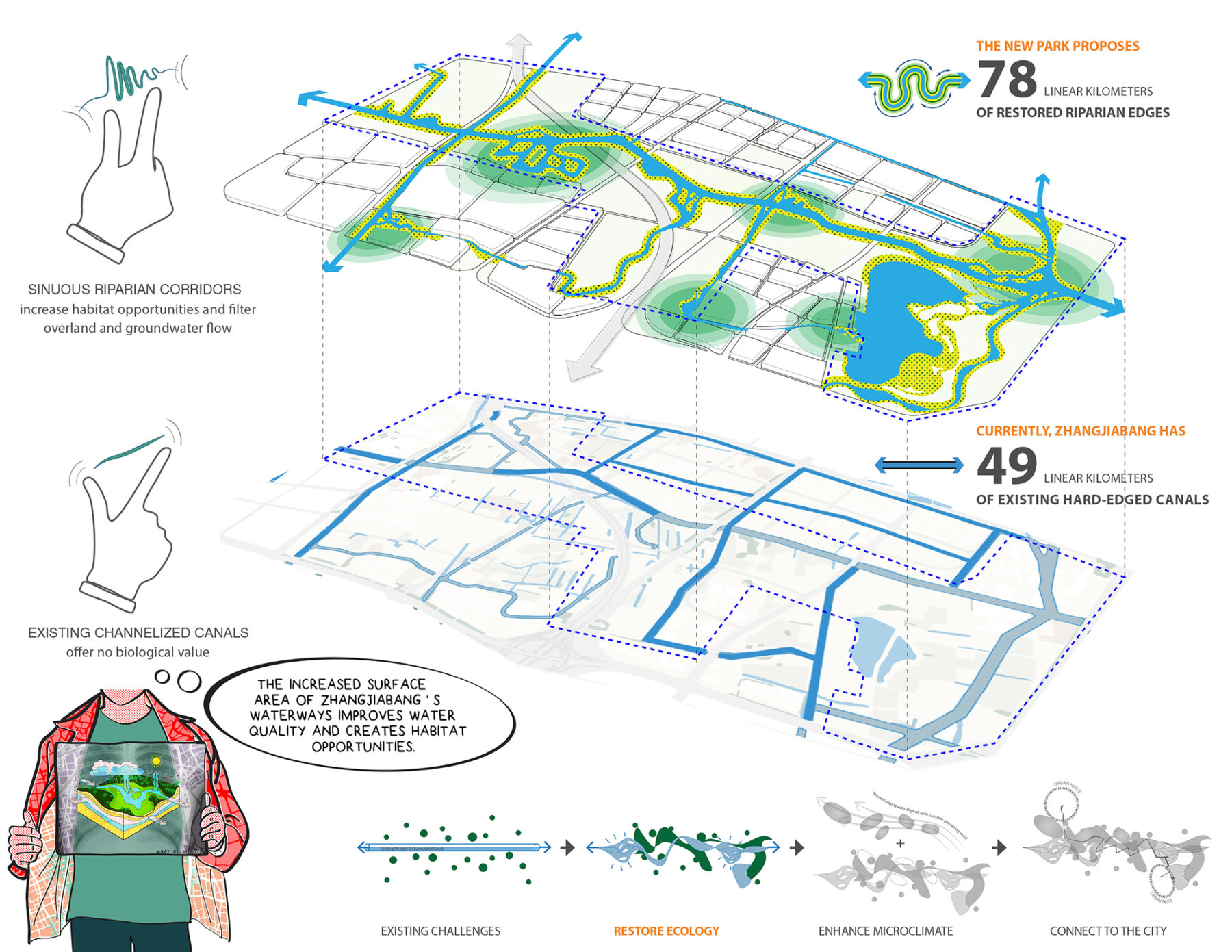 Diagram of concept for introducing riparian edges into the park design