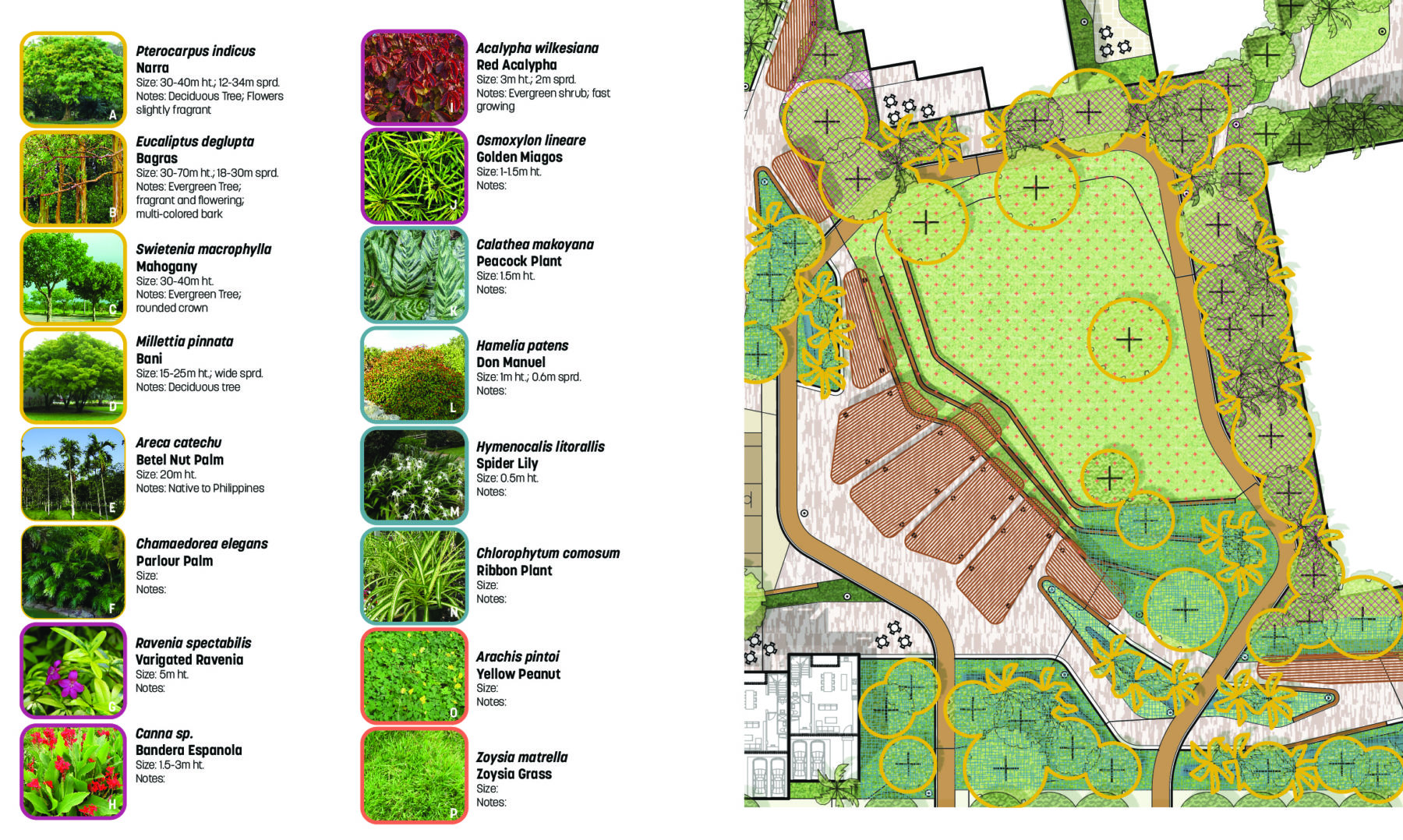 diagram of park ecology