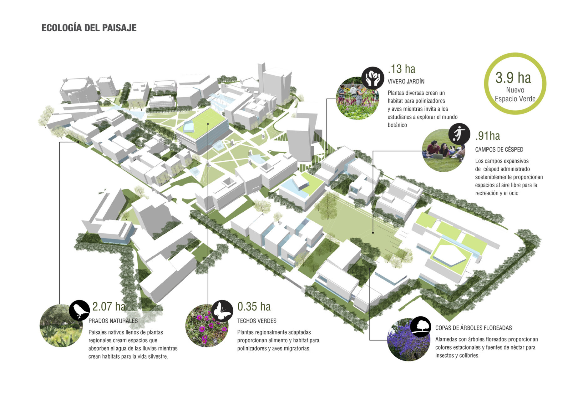 Diagram of plantings