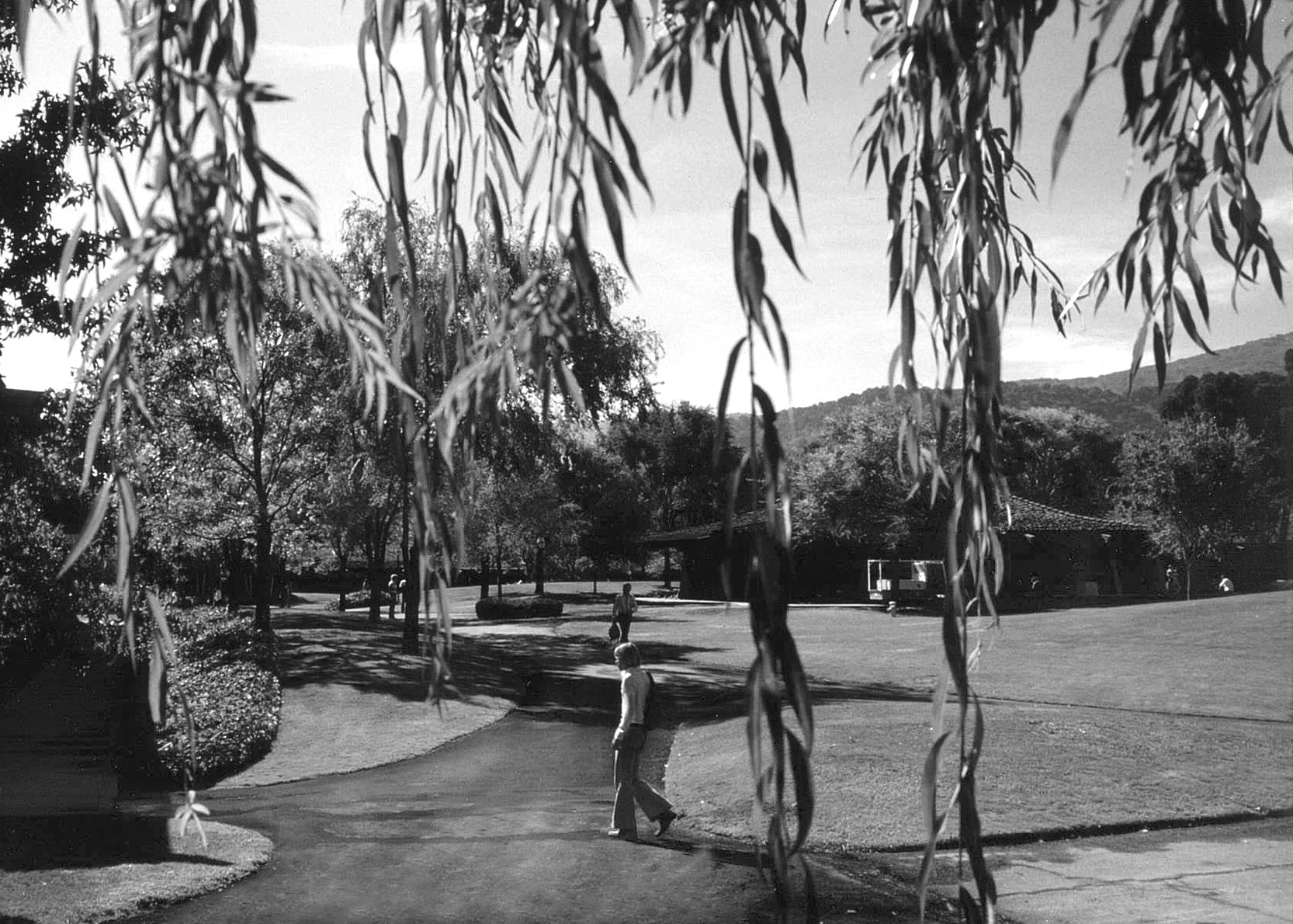 black and white photograph of students walking along curvilinear paths through campus