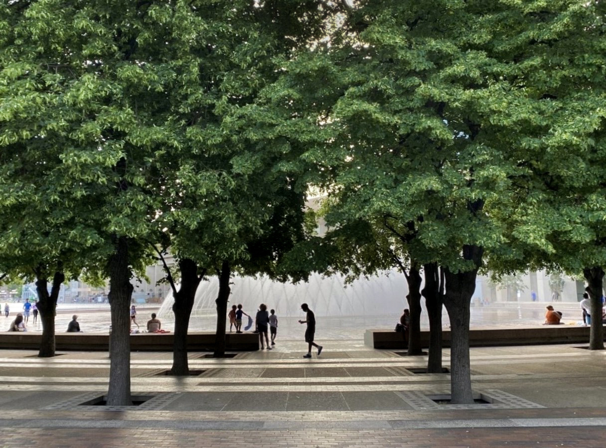 photograph of planted linden trees with fountain in background and silhouette of person walking across plaza