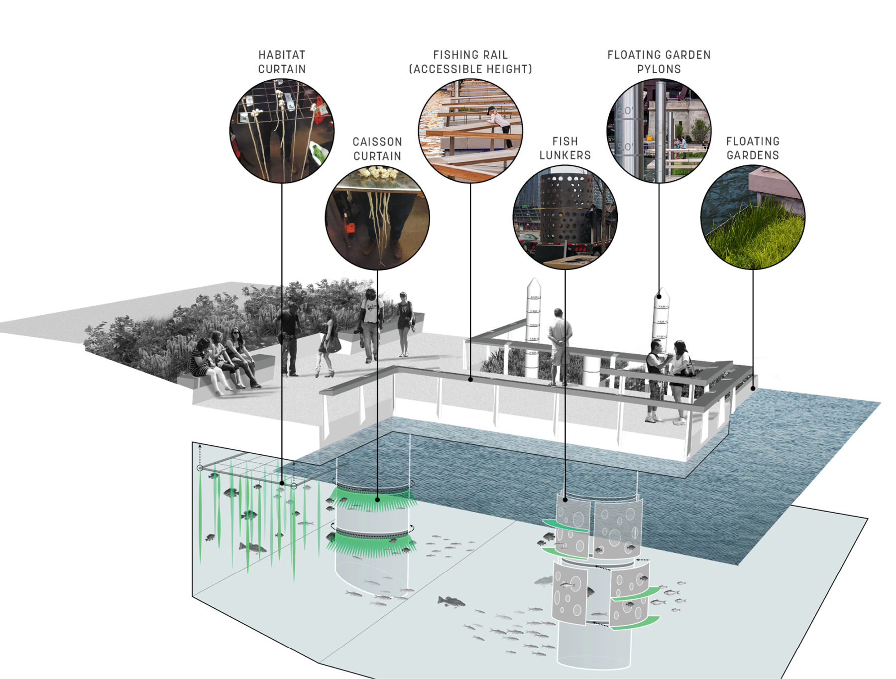 Jetty underwater fish habitat diagram