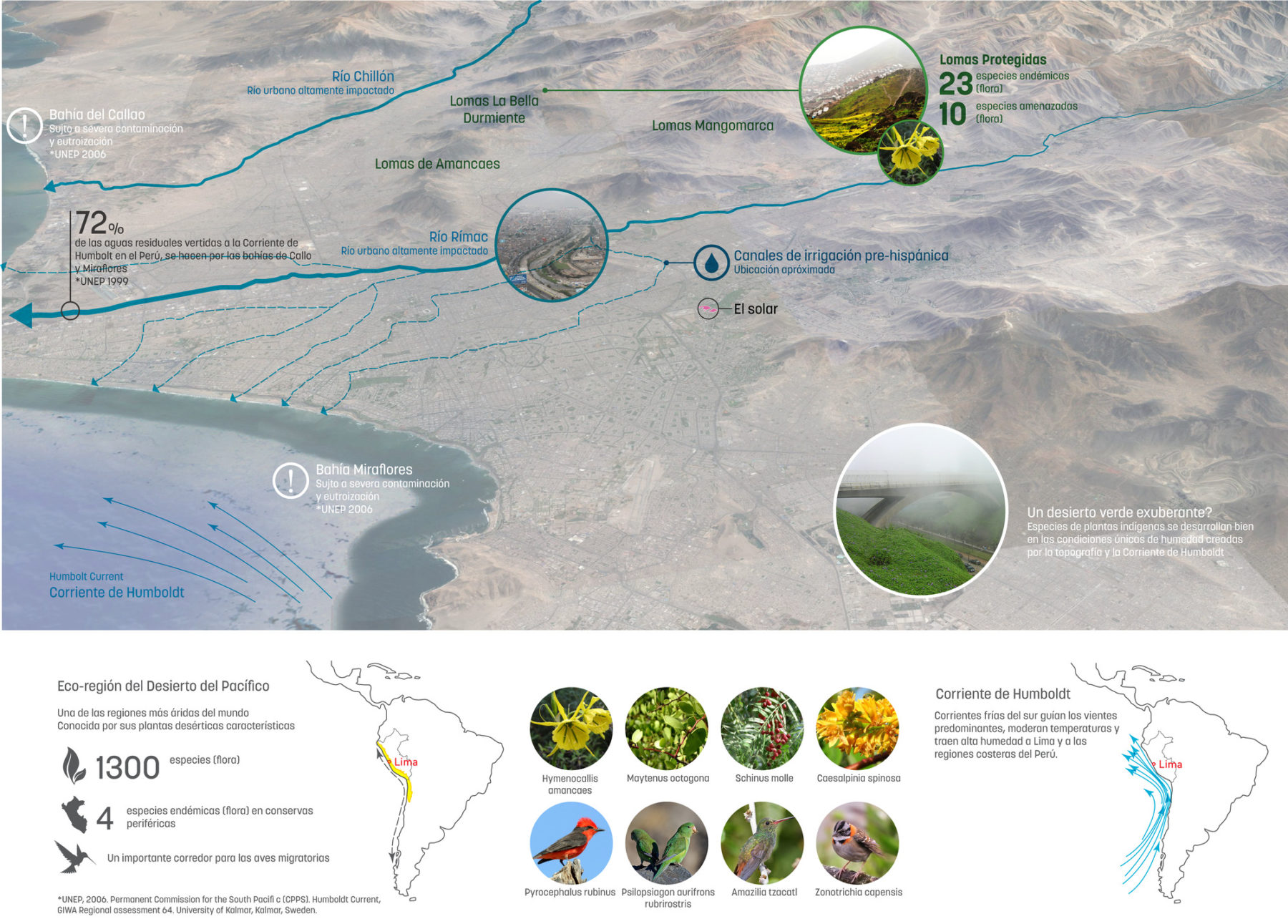 Ecological features diagram