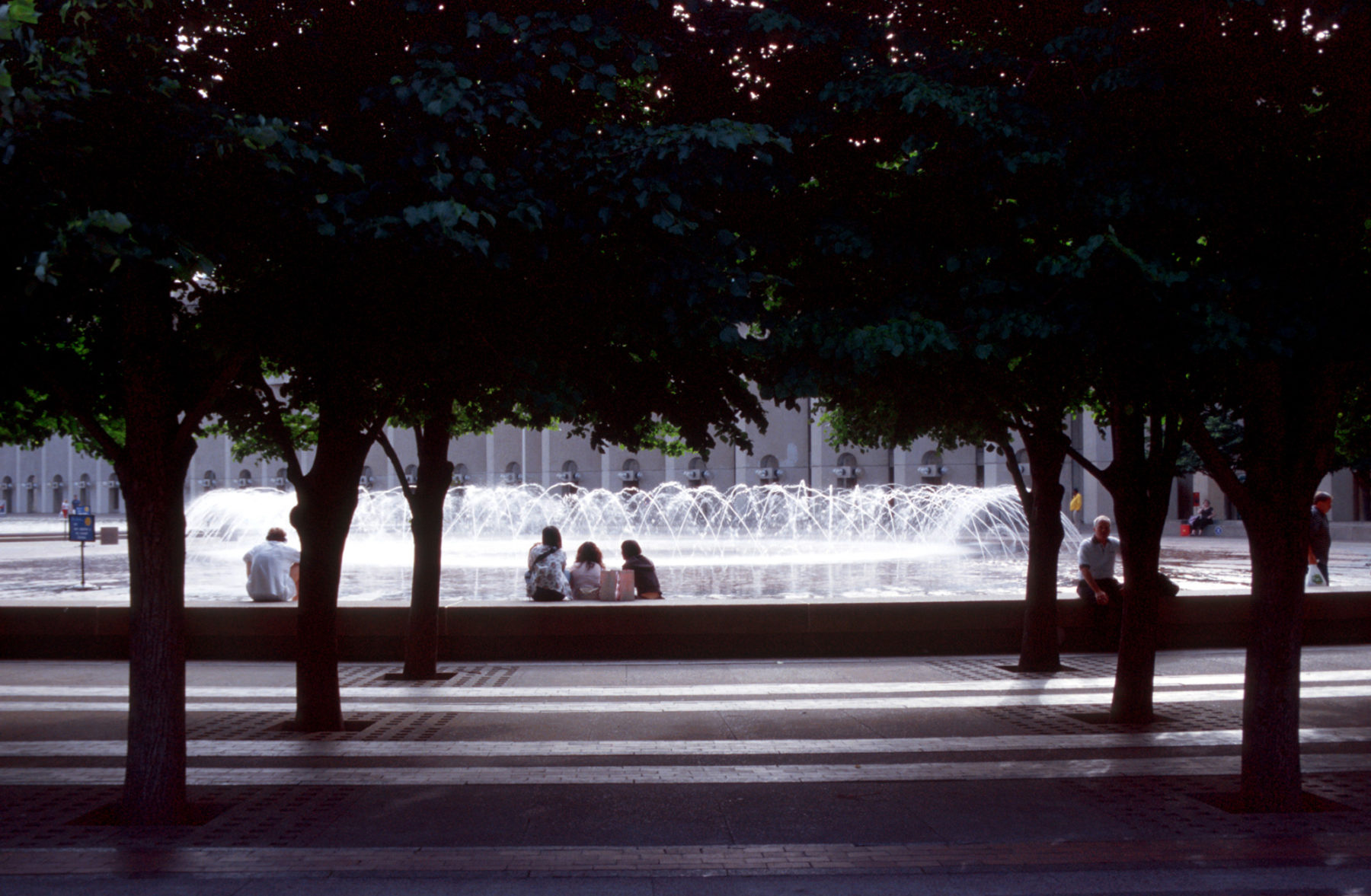 Photo through the trees of two people sitting by a fountain