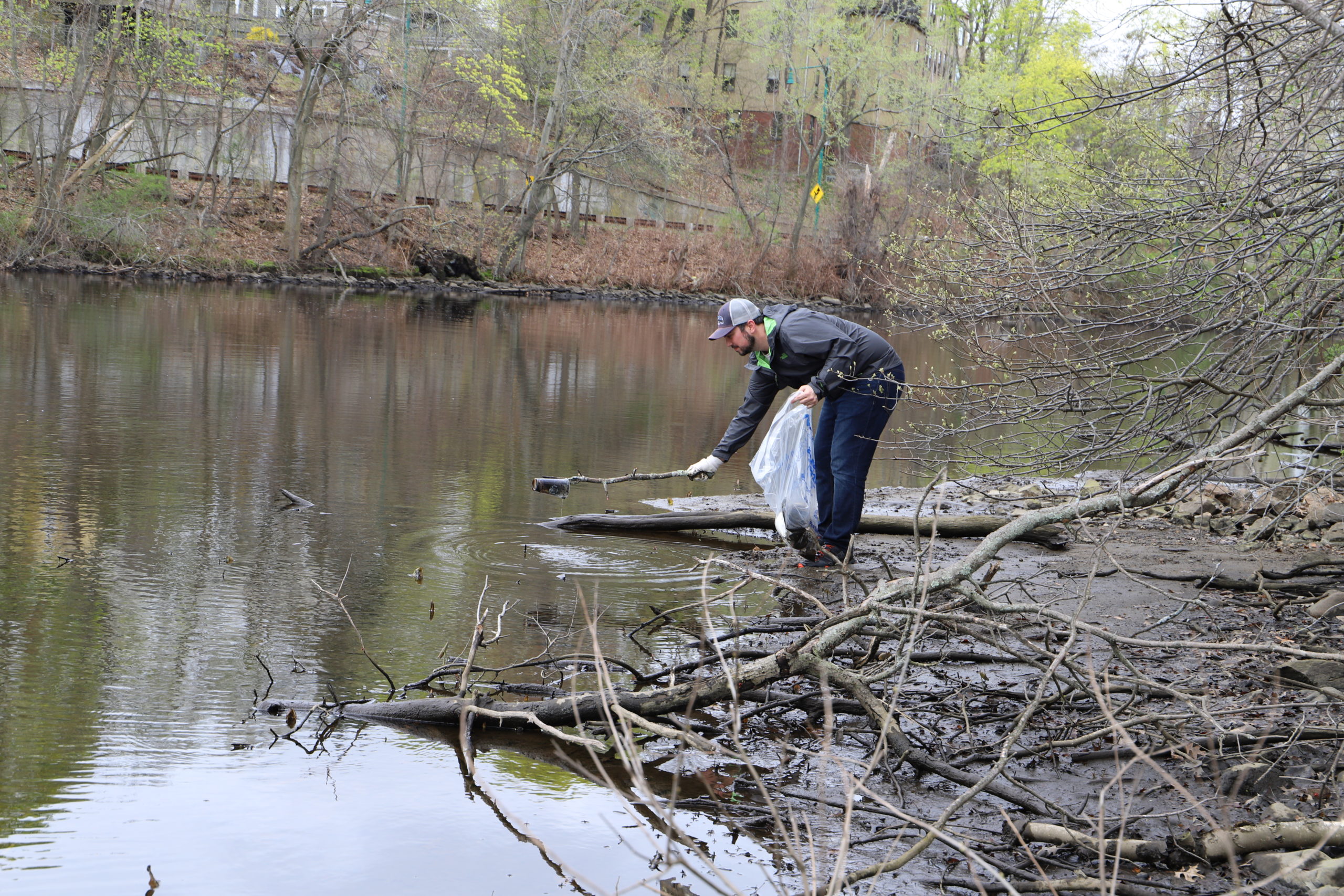 Person picking a can out of the Charles river with a long stick