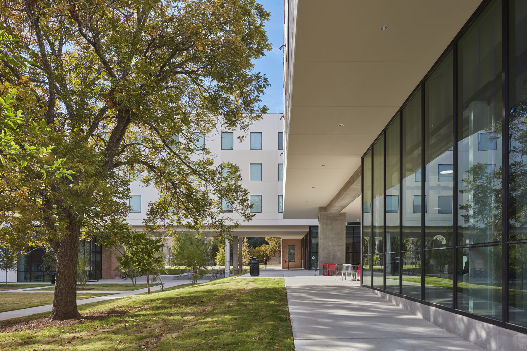 exterior view, glass facade to the right, courtyard and tree to the left