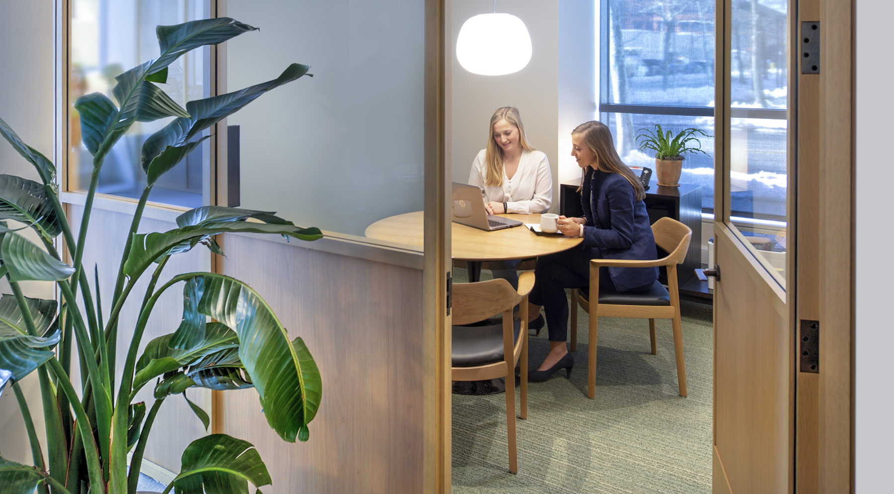 looking into office meeting, plant in foreground on left