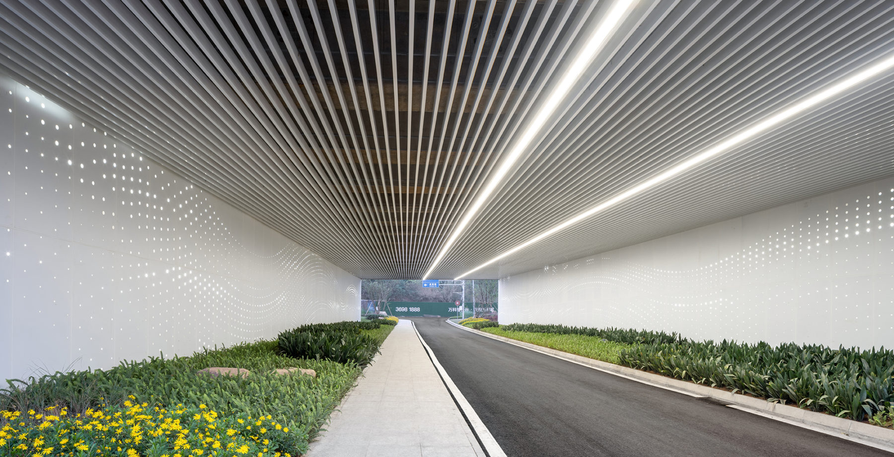 view down tunnel with linear lights above and vegetation on either side