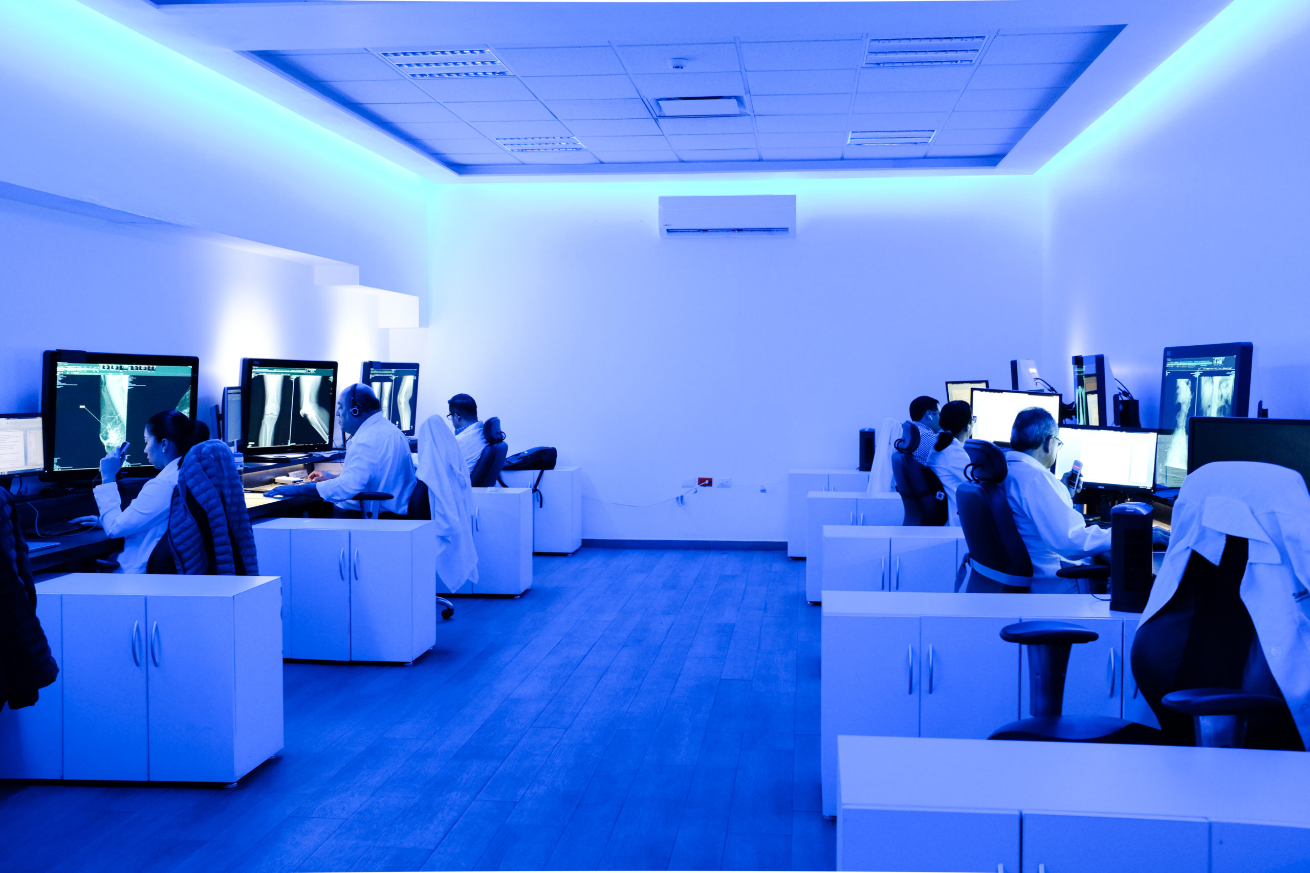 Two rows of people looking at x-rays on computer screens