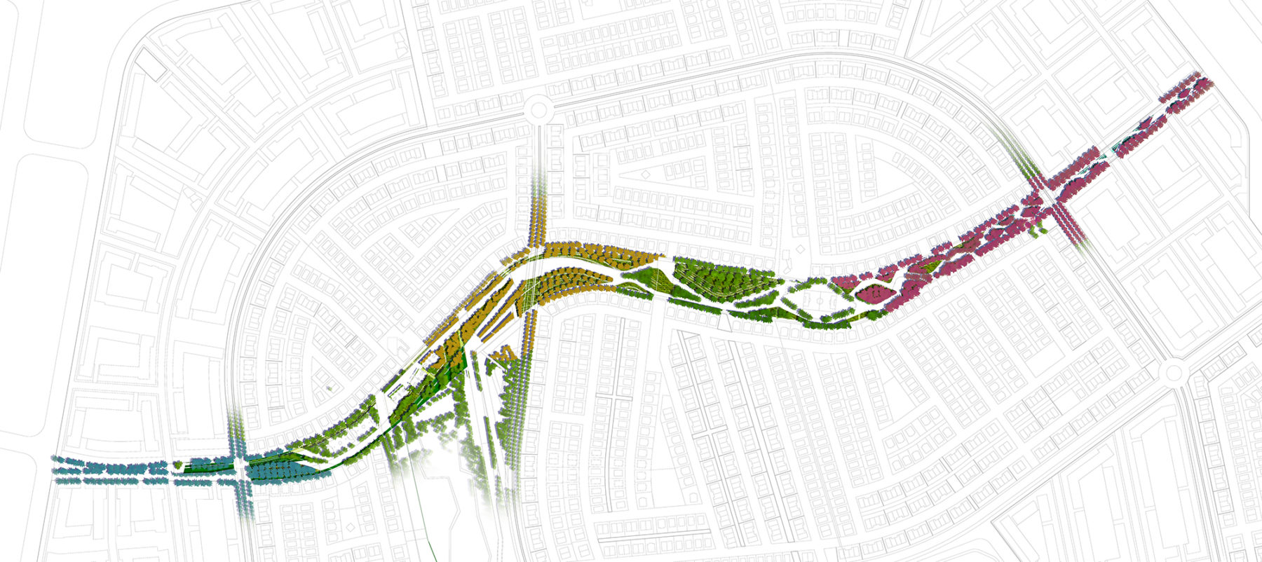 planting diagram along green spine