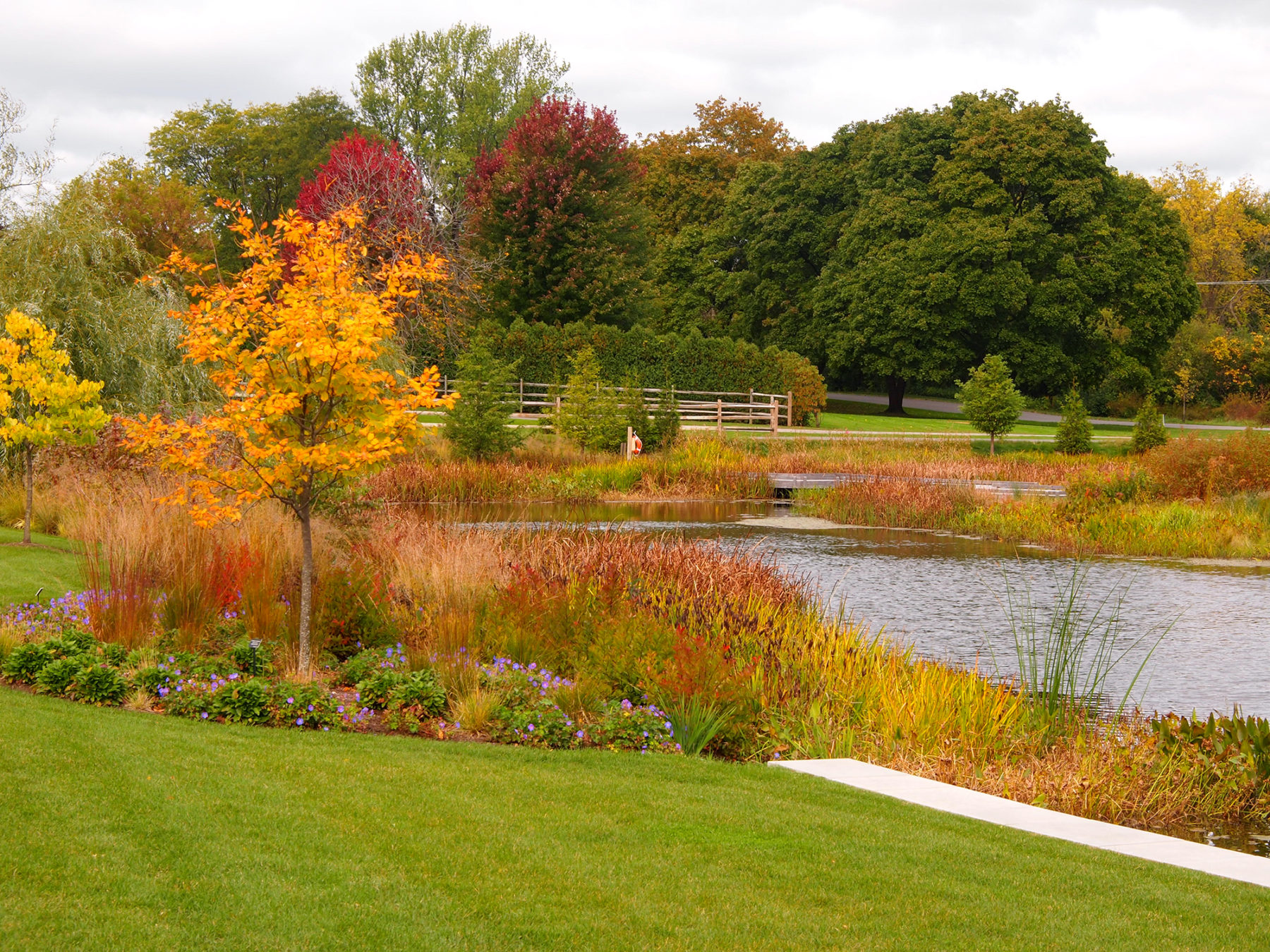 pond landscape with autumn foliage