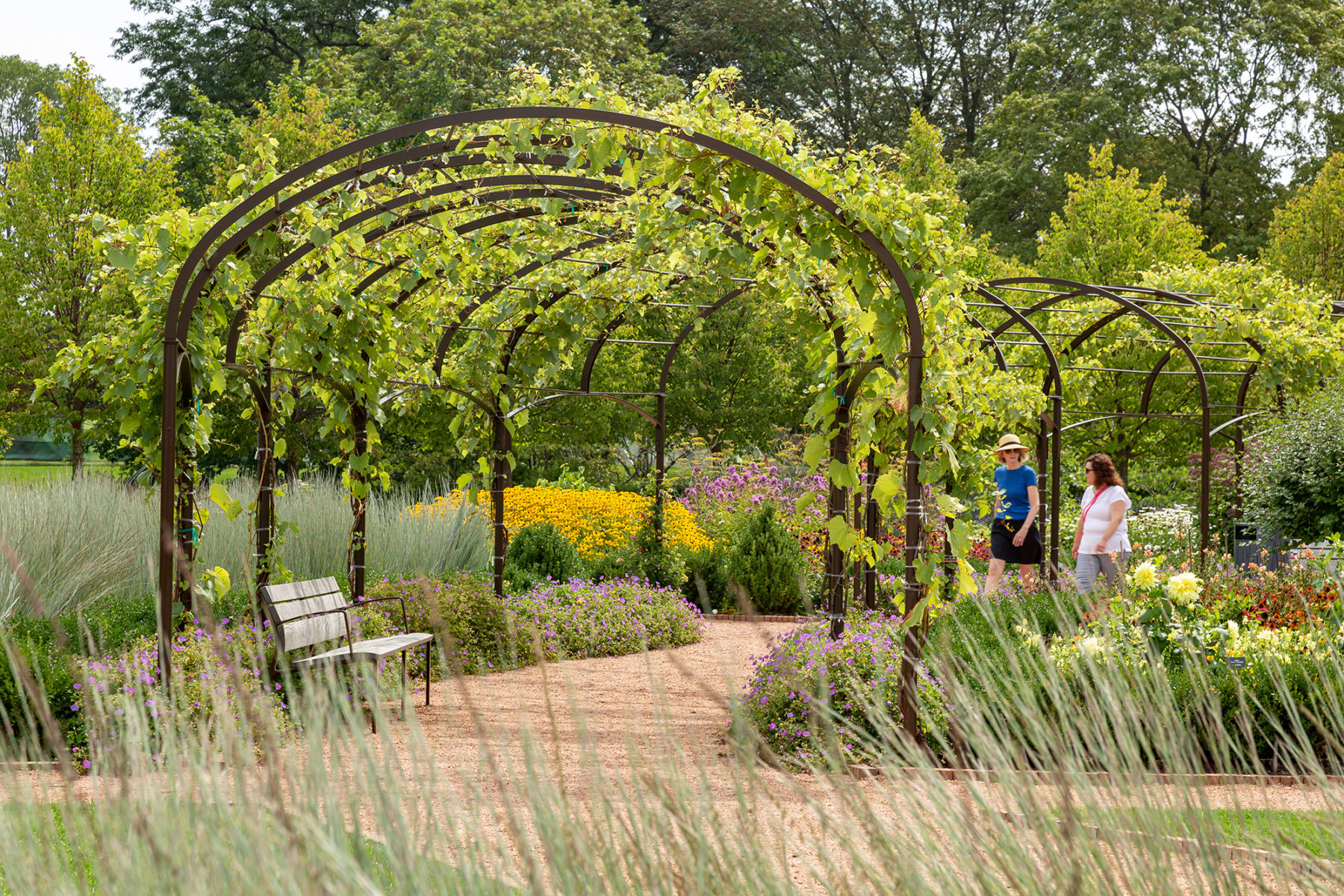 photo of two people walking through a trellis structure