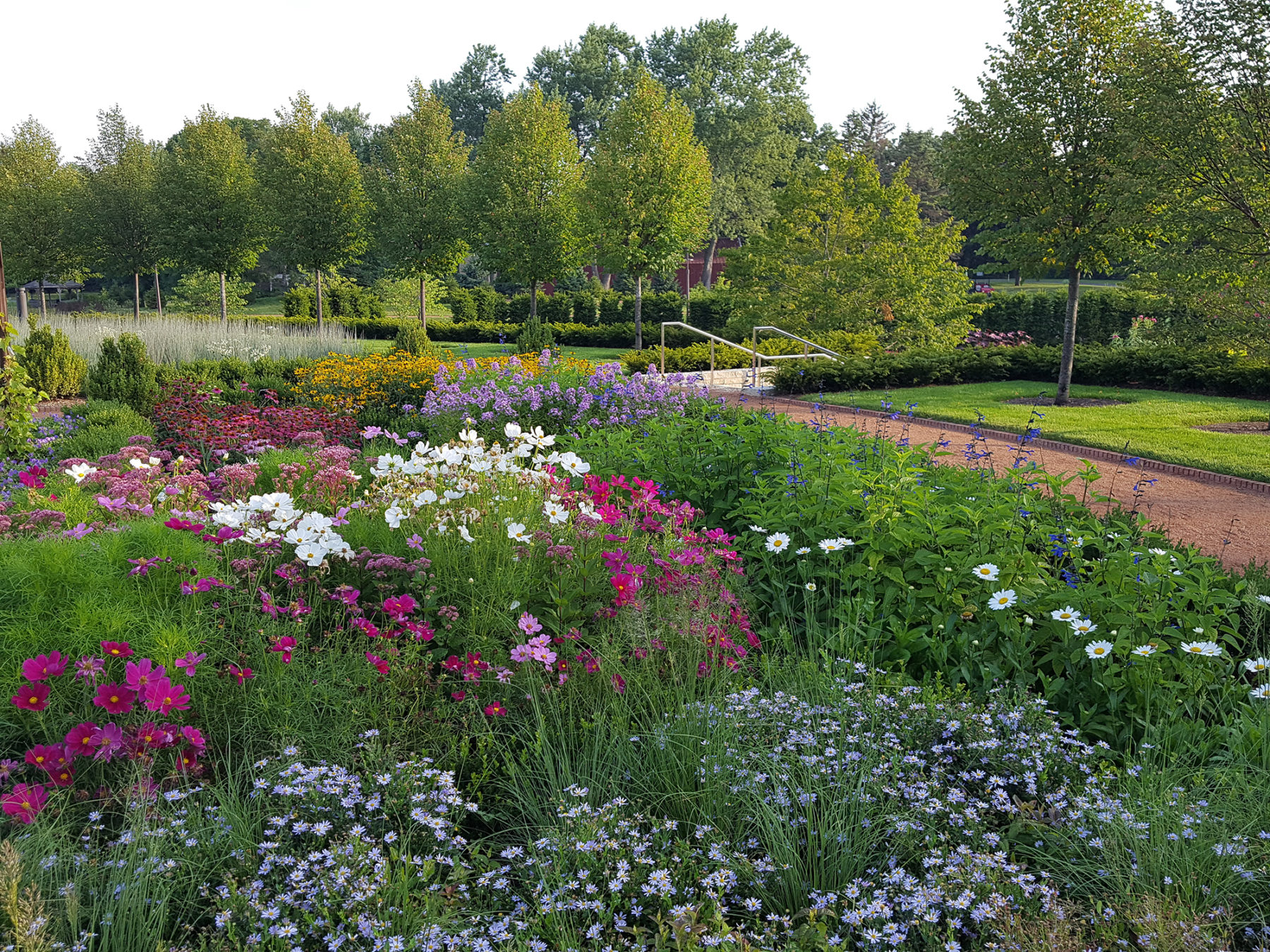 a bed of flowers in a garden