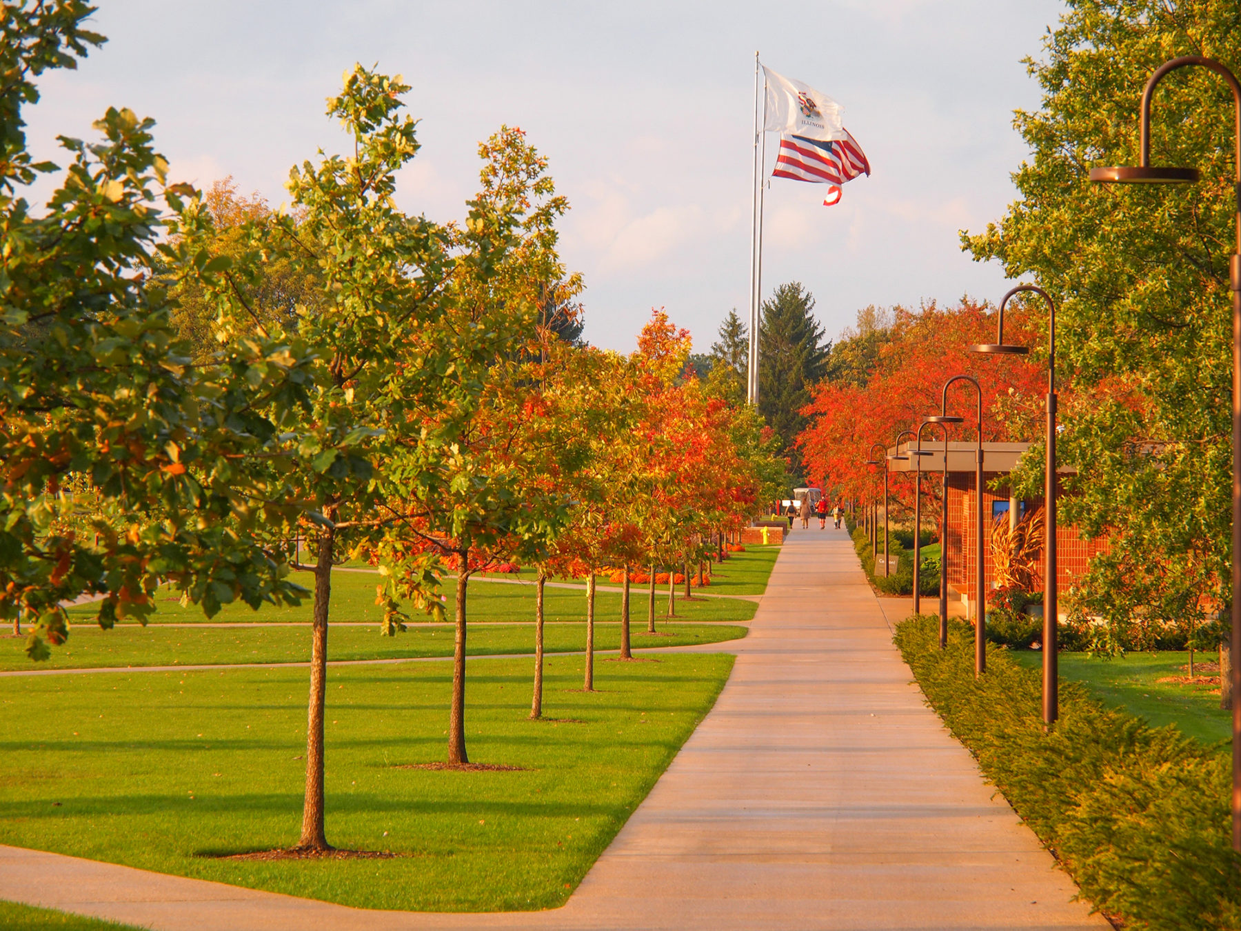 photo of long paved path with fall foliage