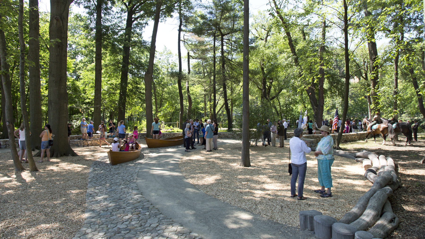 People enjoying new park in clearing in the woods