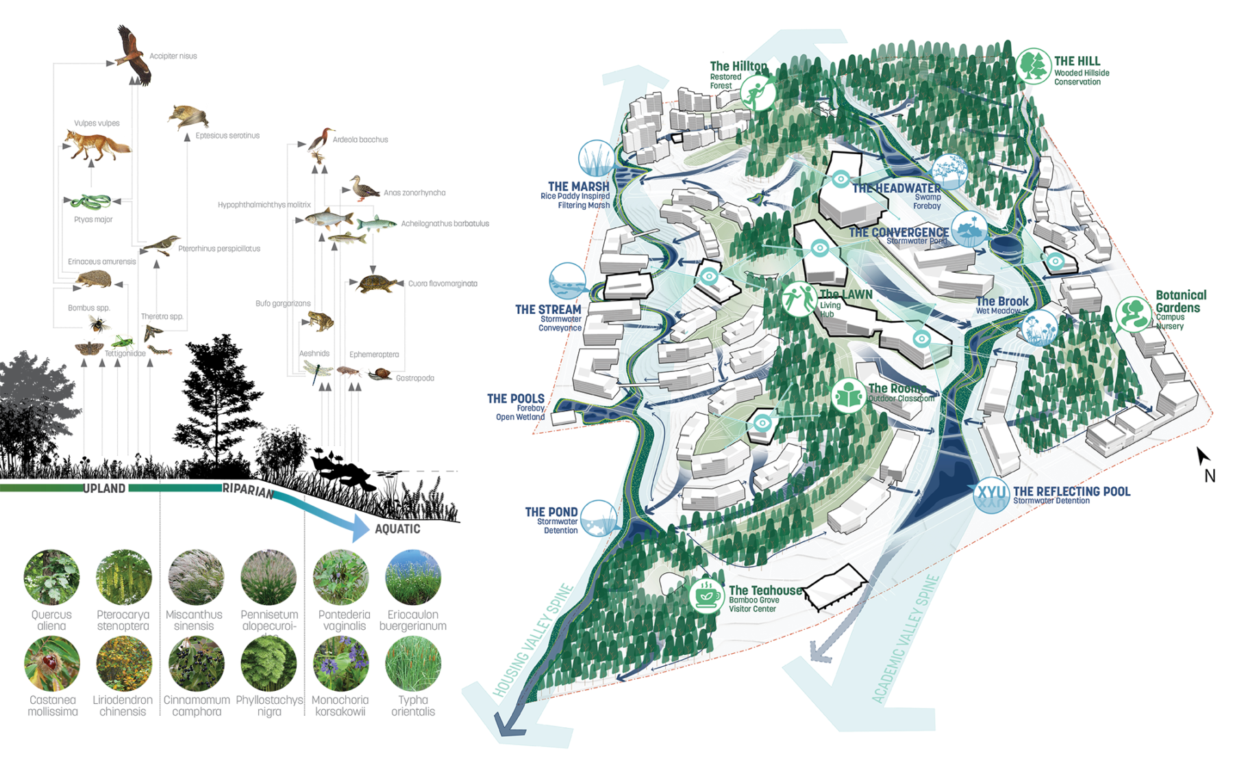 local wildlife diagram