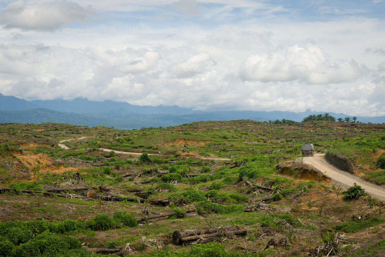 photo of deforested landscape