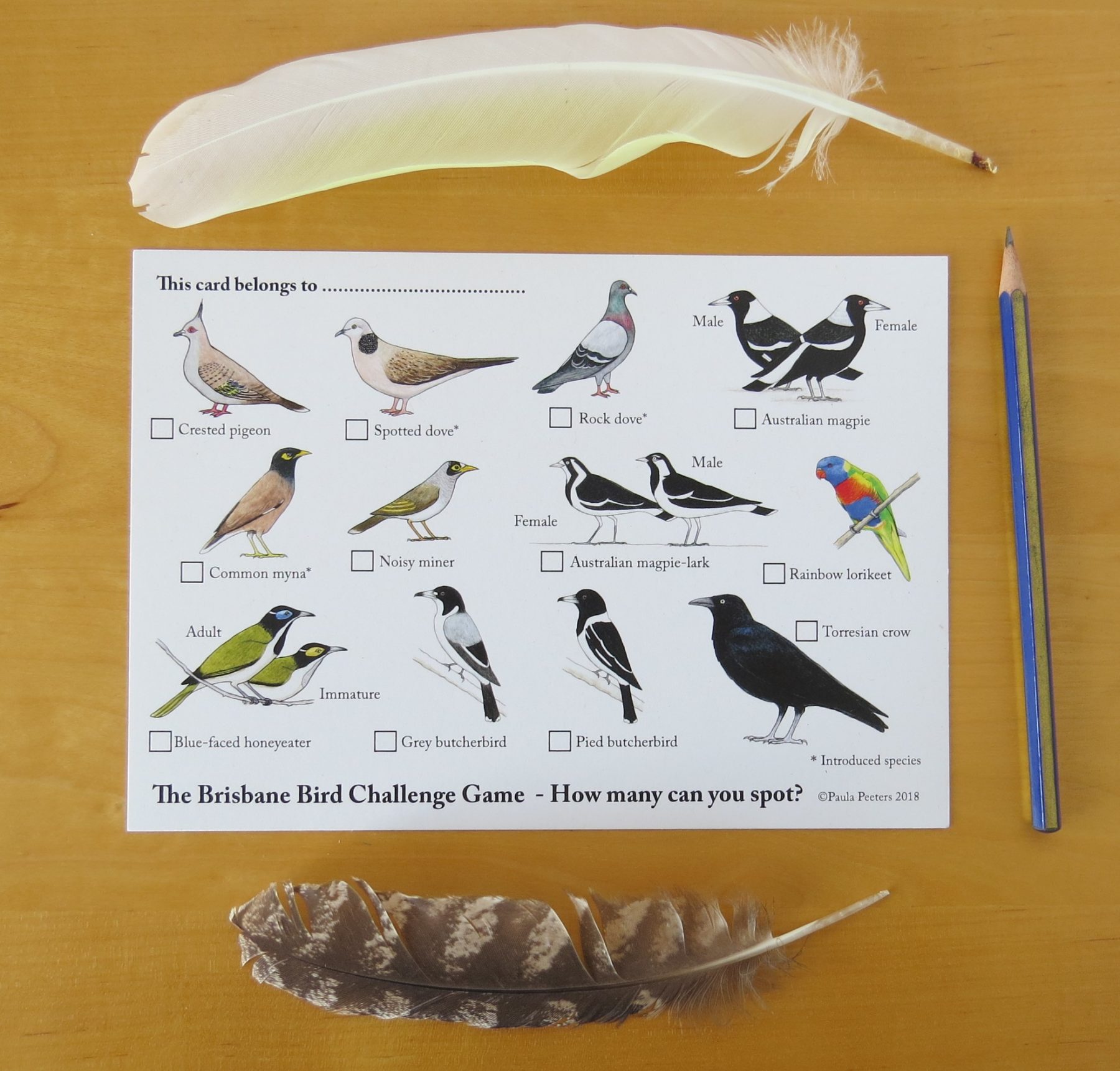 a photo of a card showing different bird species