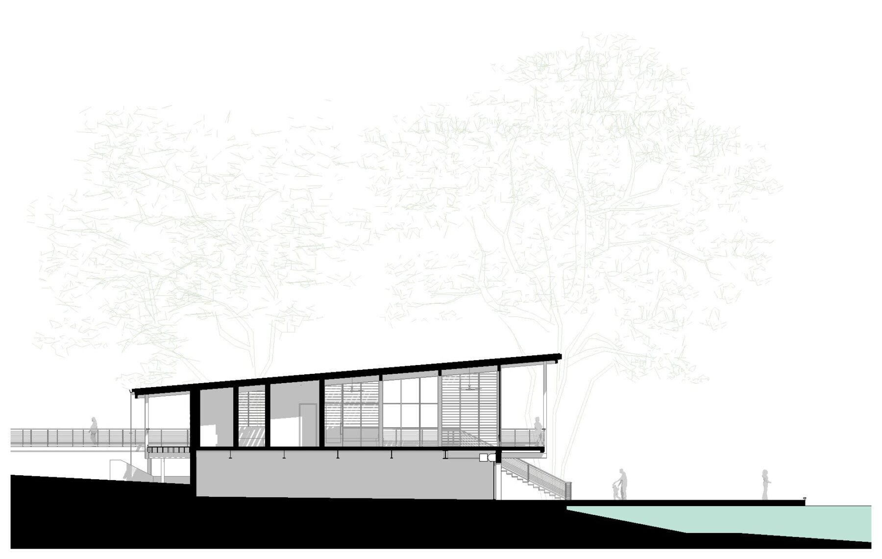 graphic illustration of section of boathouse at Bonnet Springs Nature Center