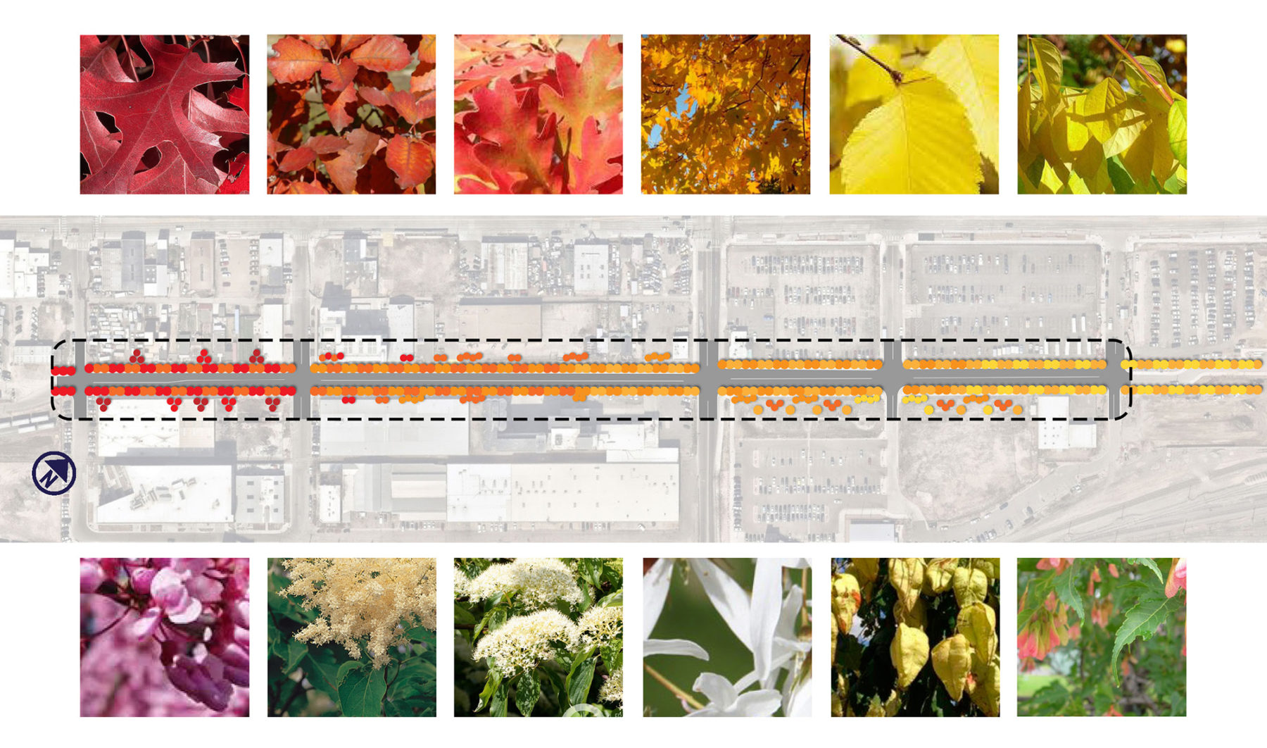 planting diagram featuring gradient of plant choices