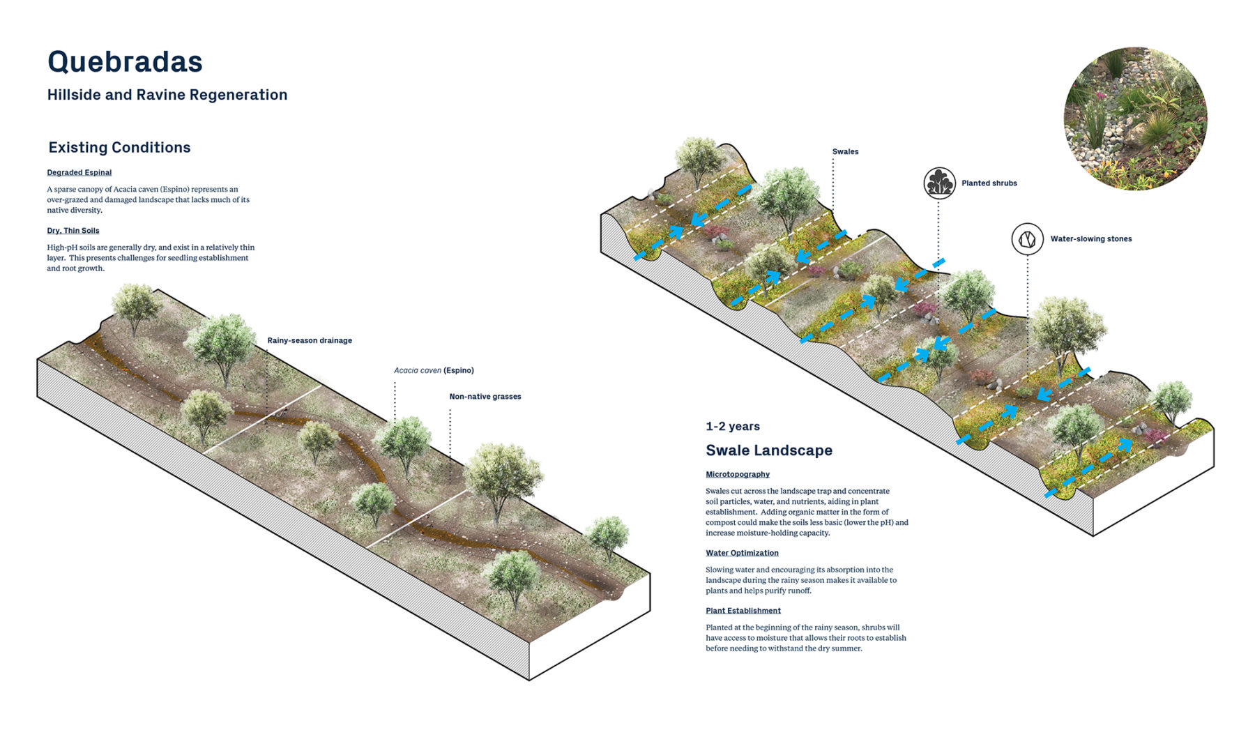 planting diagram for sustainability