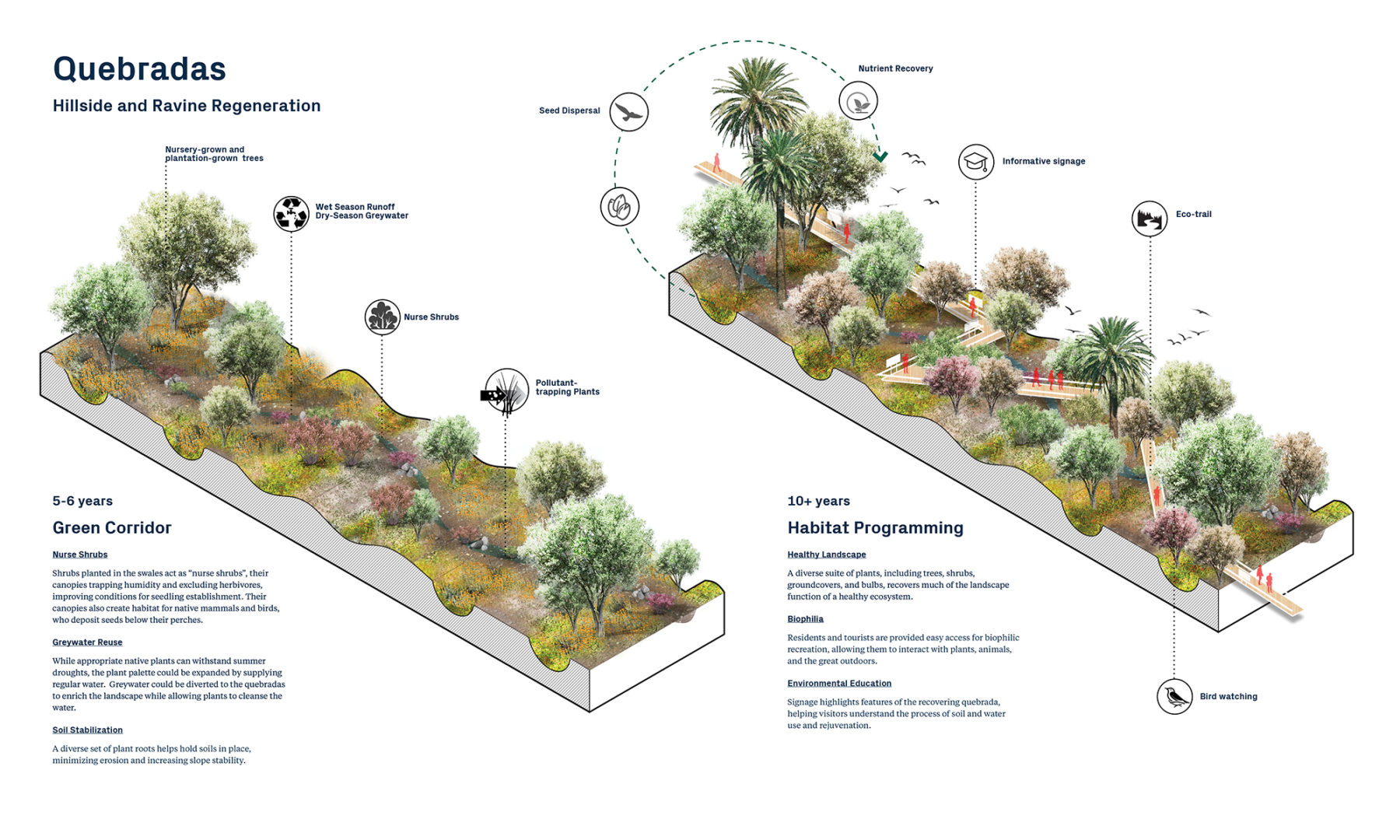 planting diagram for sustainability