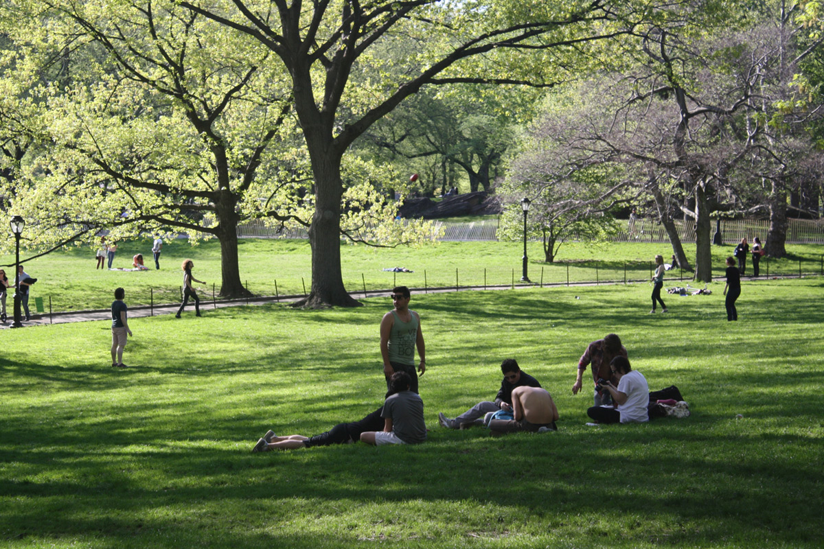A group of young people sitting together in New York's Central Park