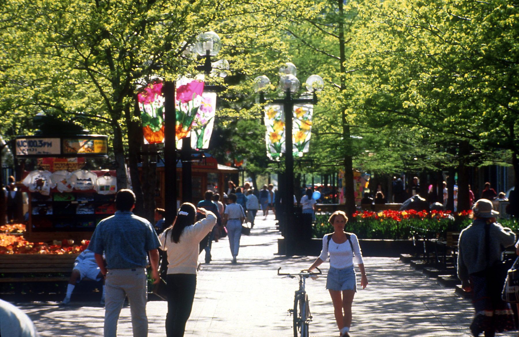 photo of pedestrian mall a woman is walking towards camera with a bicycle
