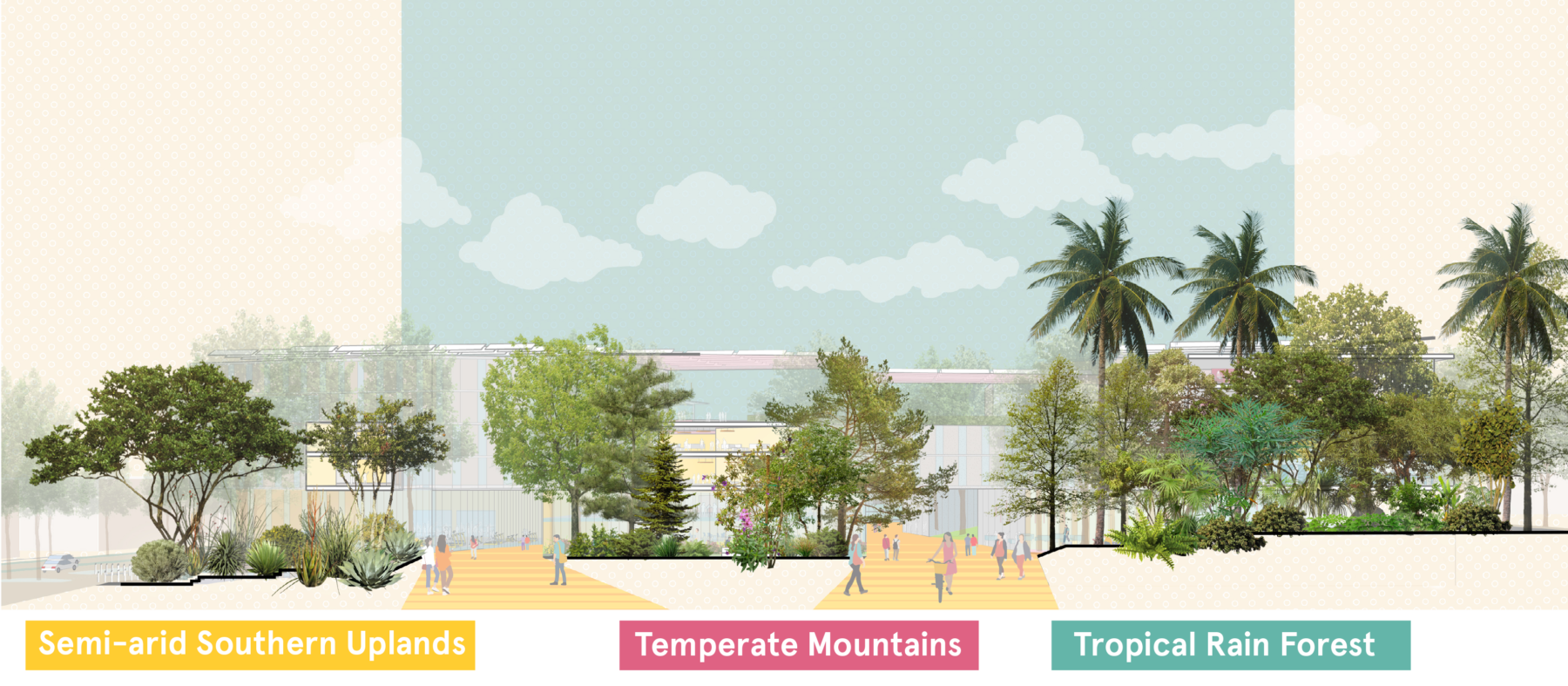 Section illustration of proposed planting strategy