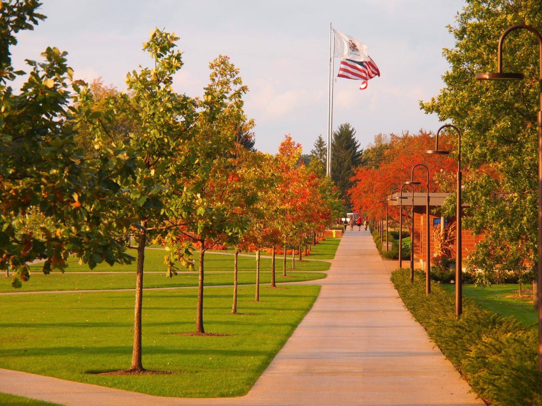 Oak Colannade: View of tree-lined pathway at dusk with American flag flying at the end of the path