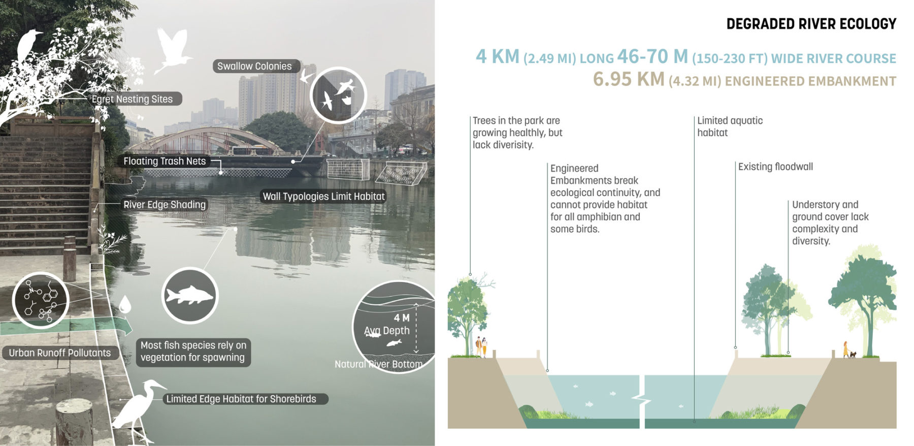 a composite image. the left side is a photo overlaid with callouts of site features. The right is an annotated section drawing highlighting ecological opportunities. the image title reads 