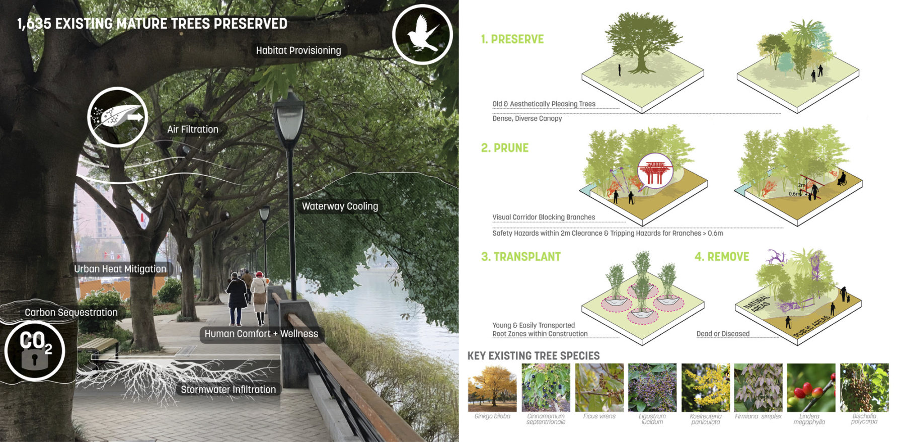 a composite image. the left side is a rendering overlaid with site feature callouts. the right is six axon drawings categorized into three main strategies: (1) preserve; (2) prune; (3) transplant. image title reads 