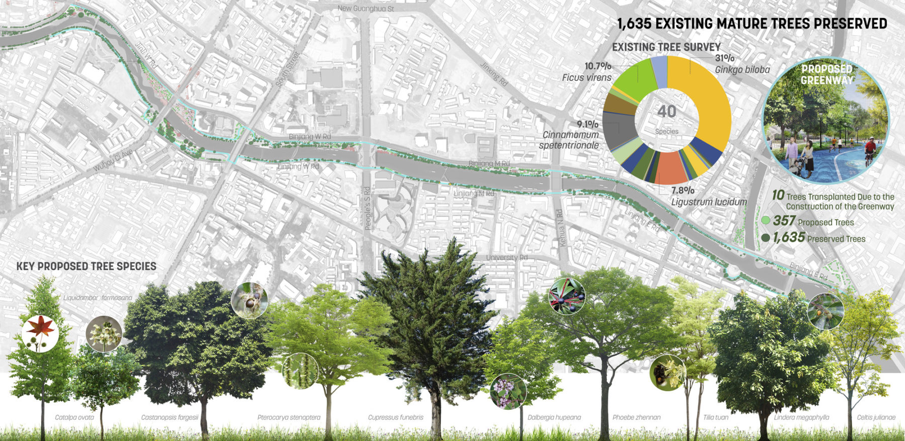 plan drawing of site with key proposed tree species lining the bottom of the image. the upper left includes a chart with the existing tree survey results and an image of the proposed greenway. image title reads 