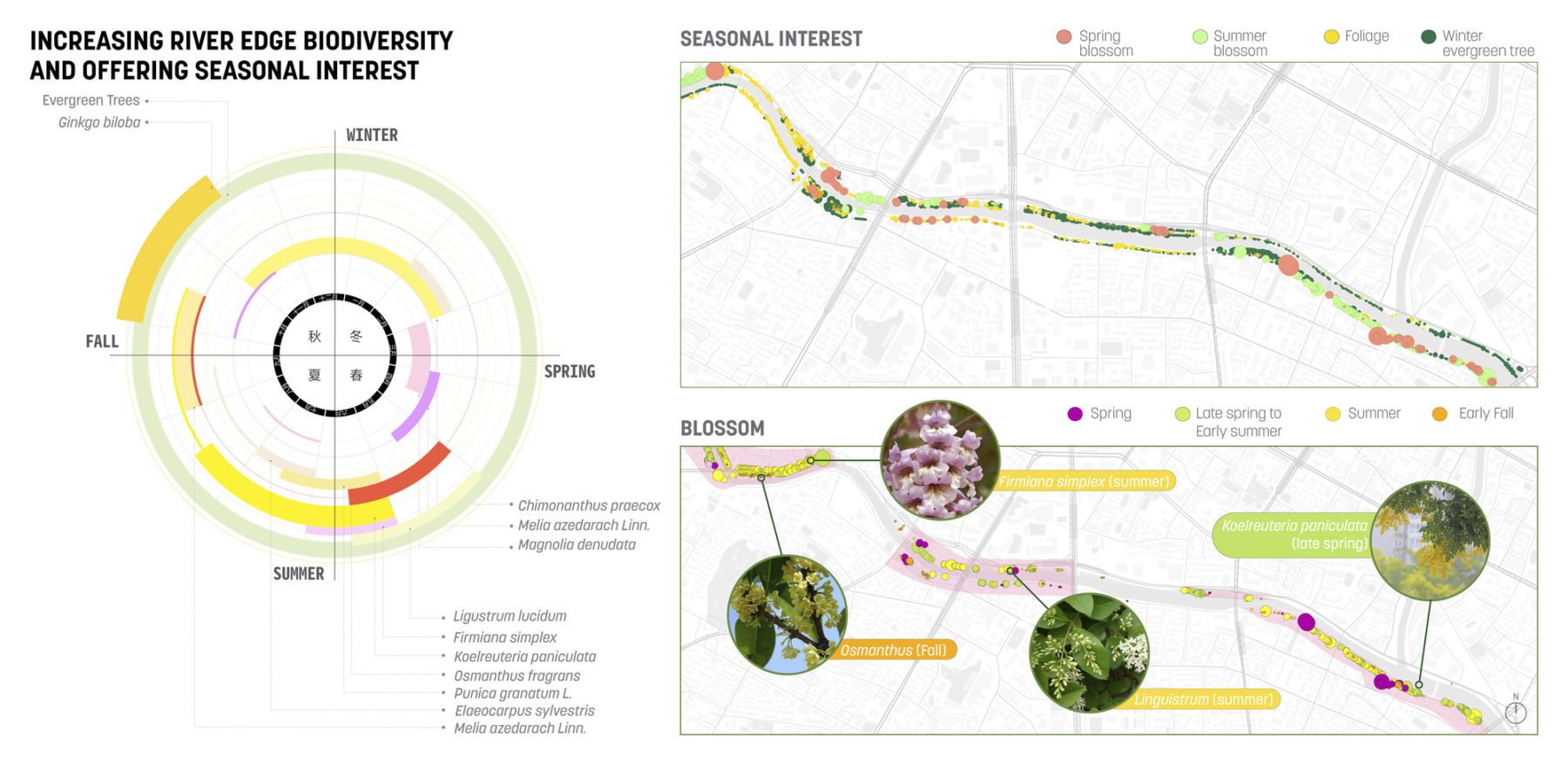 a composite image. the left side is a chart showing seasonal diversity of plantings. the left shows the seasonal bloom schedule across the plan. image title reads 