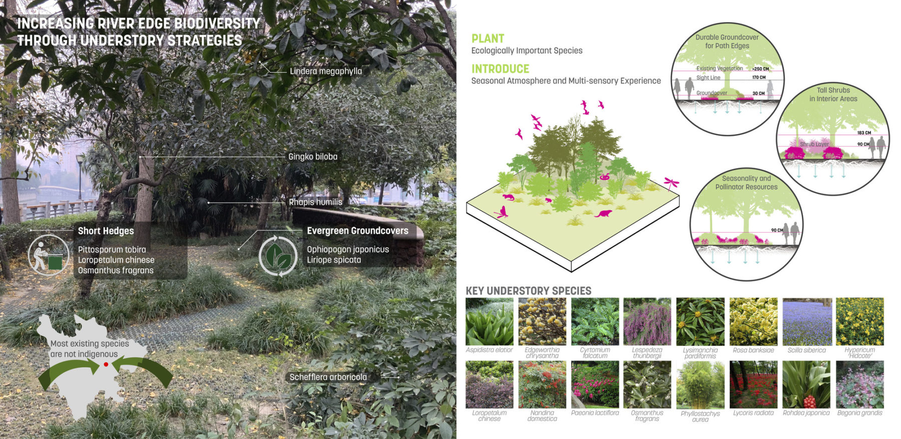 A composite image. The left side has a rendering overlaid with planting information (species, features, etc.). The right side has an axon drawing paired with section drawings and photos of understory species. Image title reads 