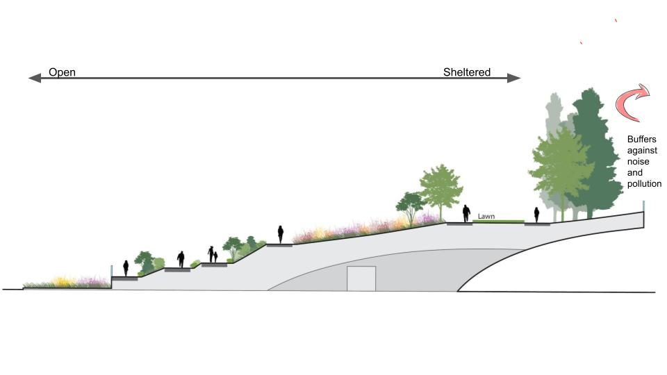 Section illustration of proposed landscape